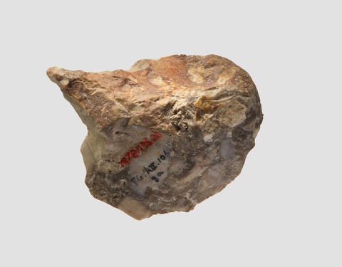 Ancient Stone Artifact Specimen