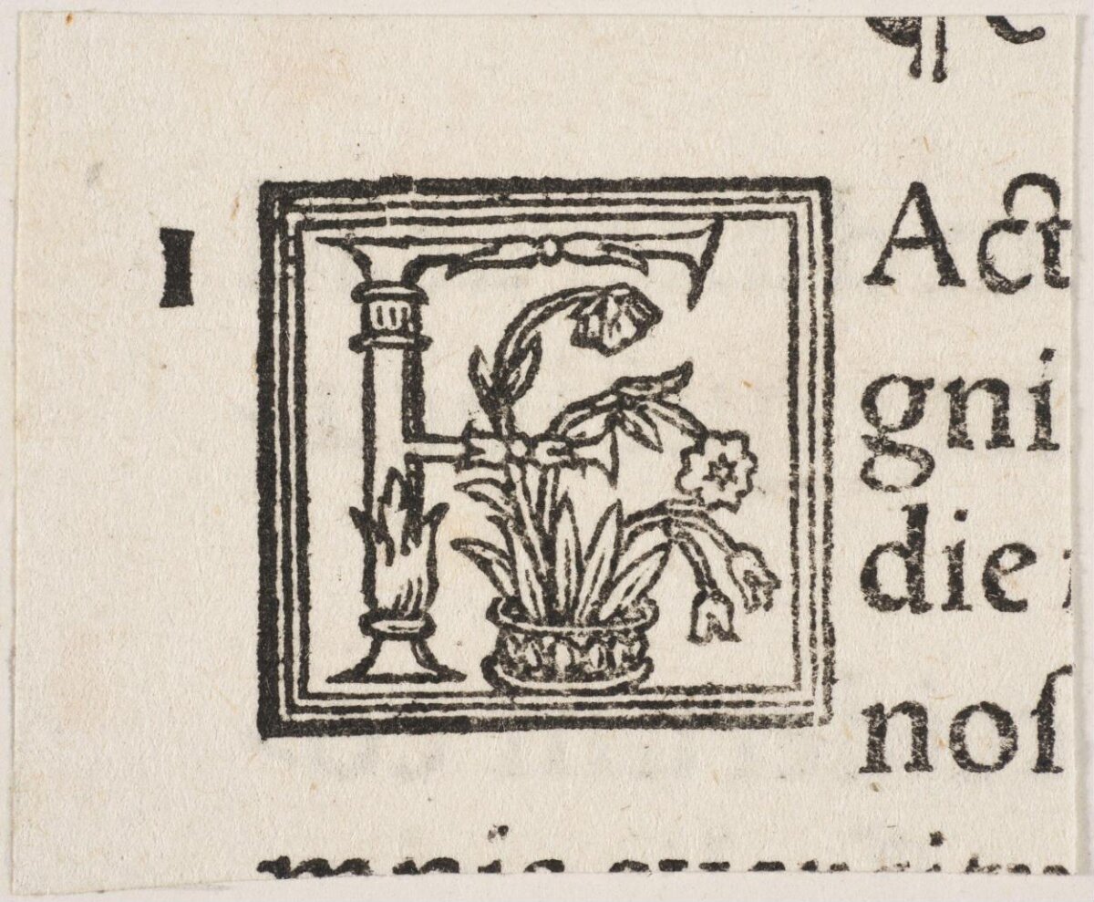 Woodcut Decorated Initial F