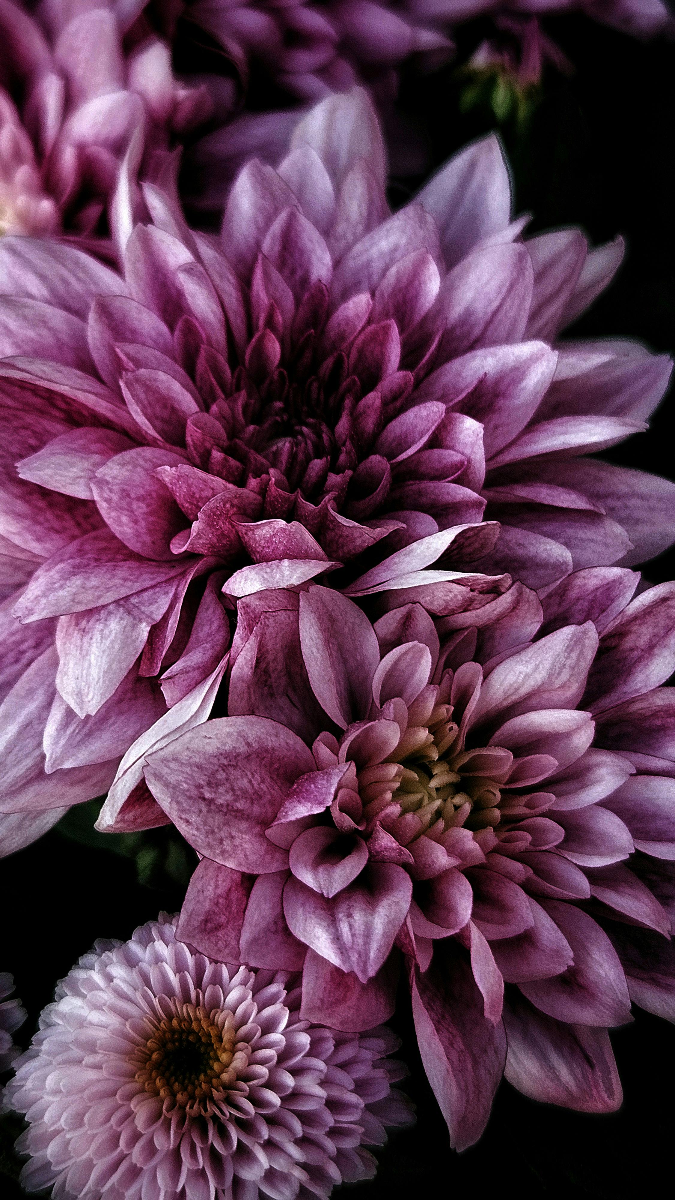 Wallpapers