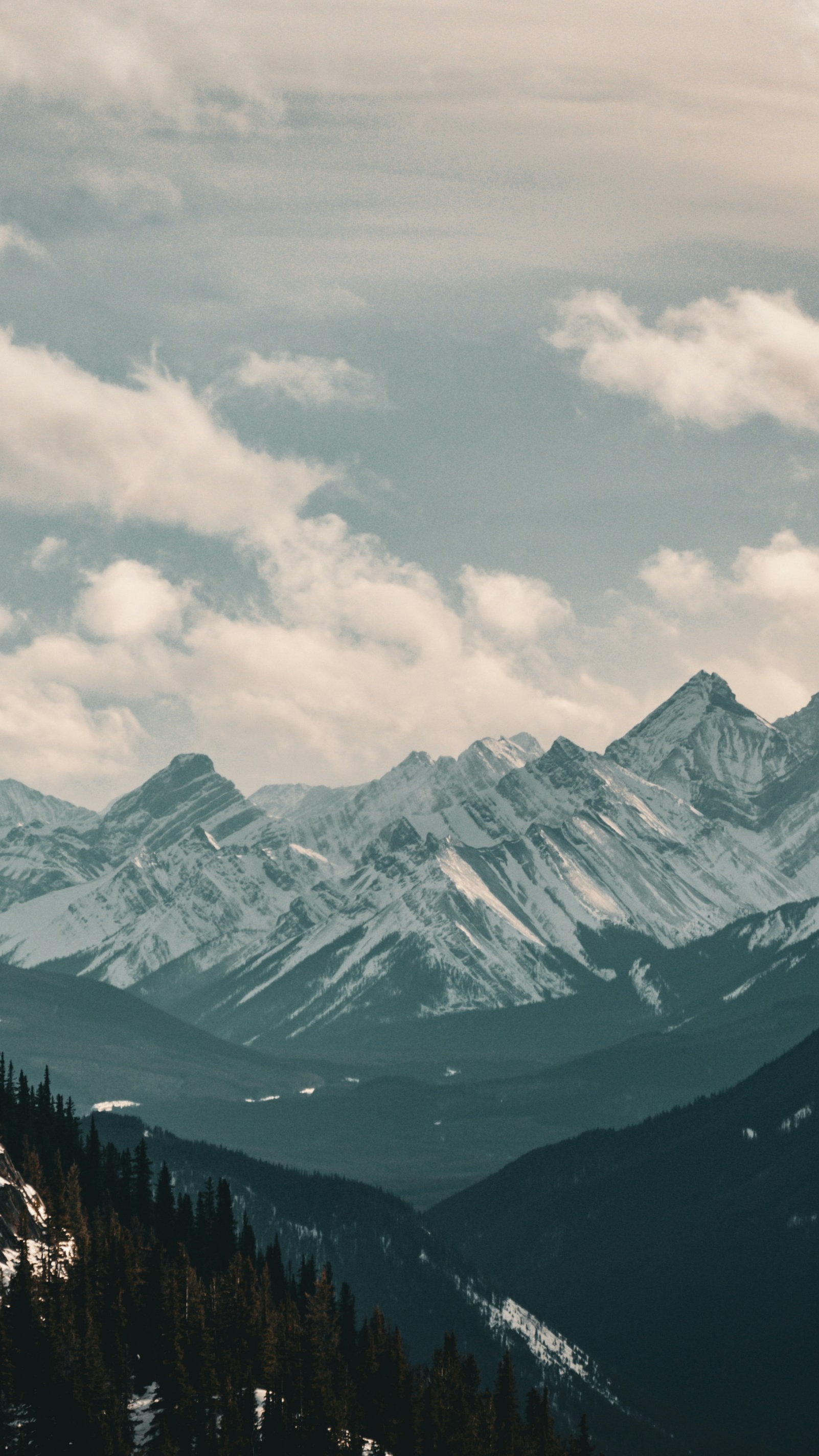 Wallpapers