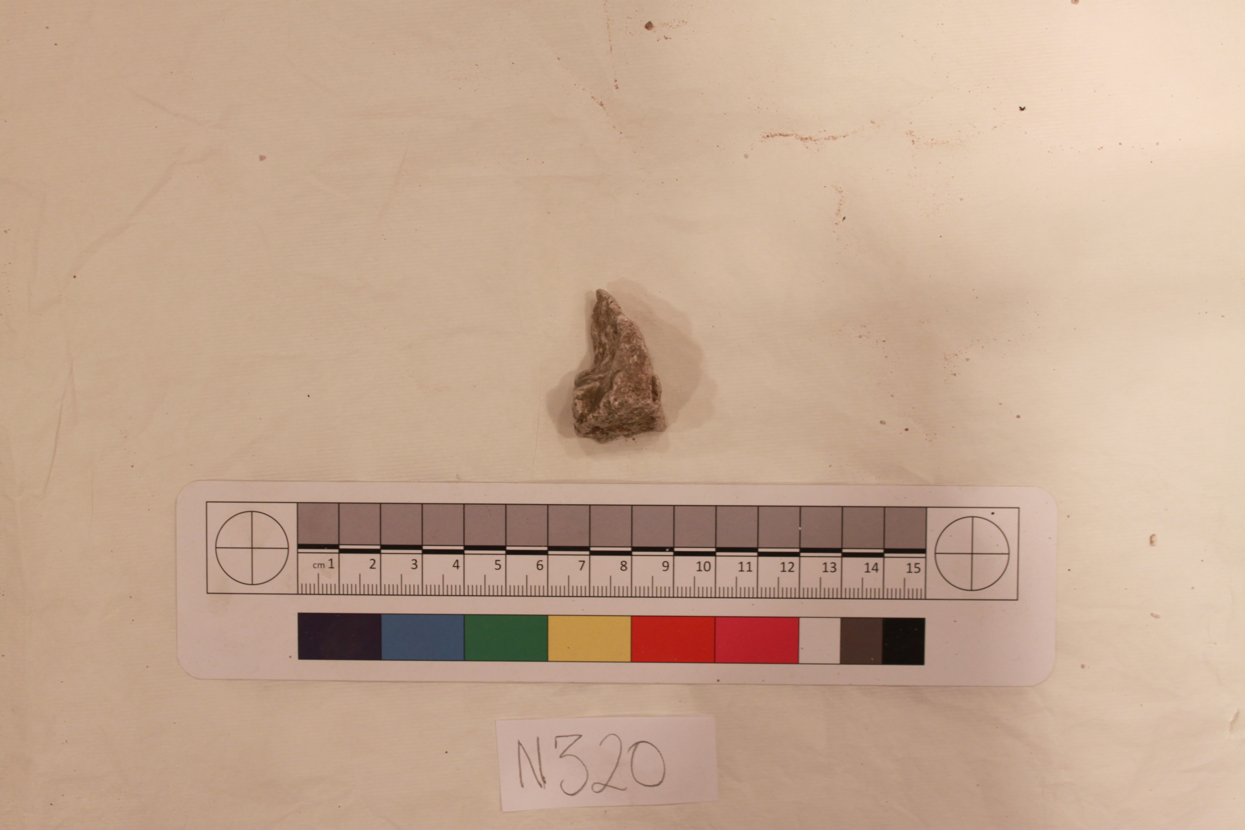 Bone Fragment Specimen N320 — History