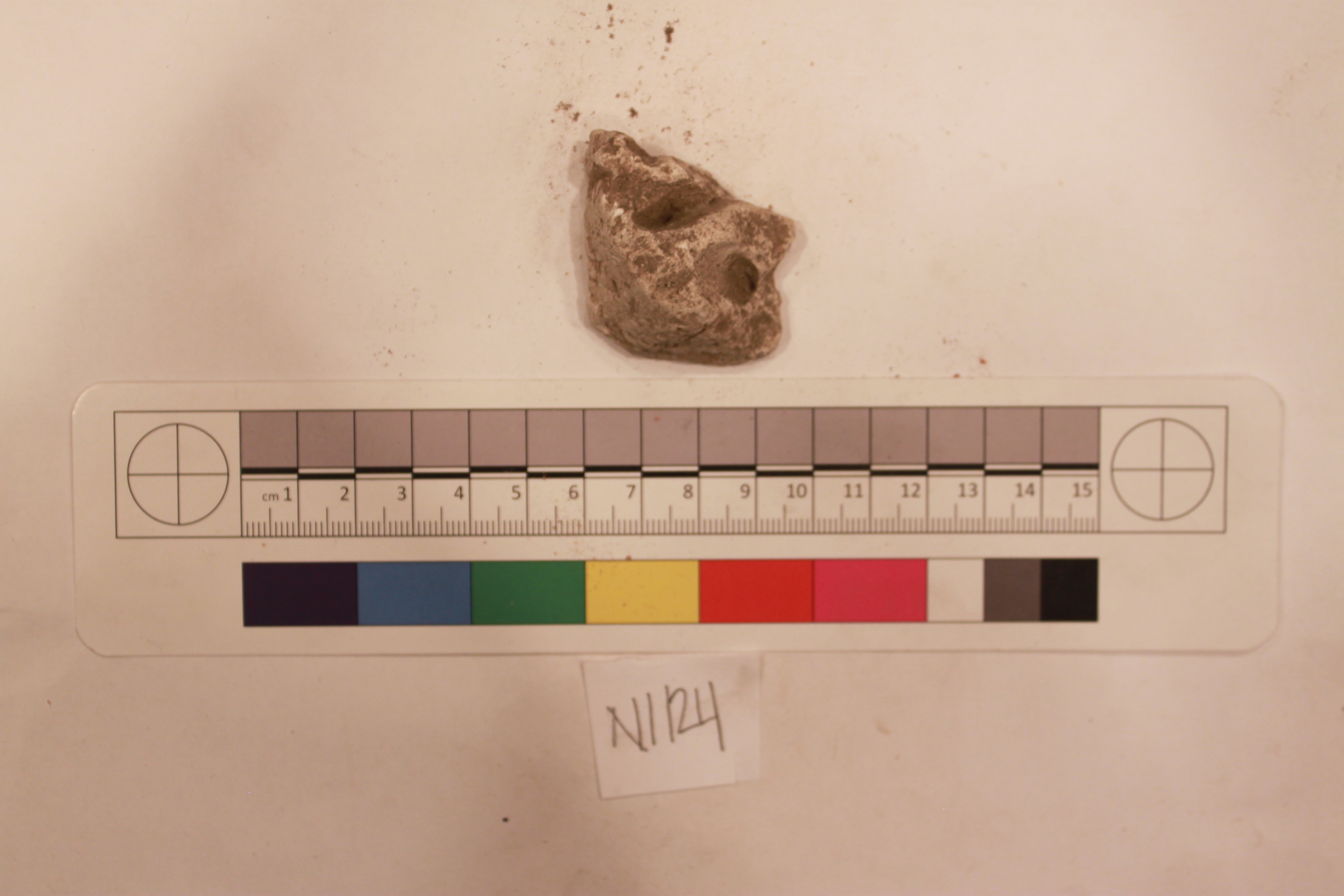 Archaeological Fragment Specimen N1124
