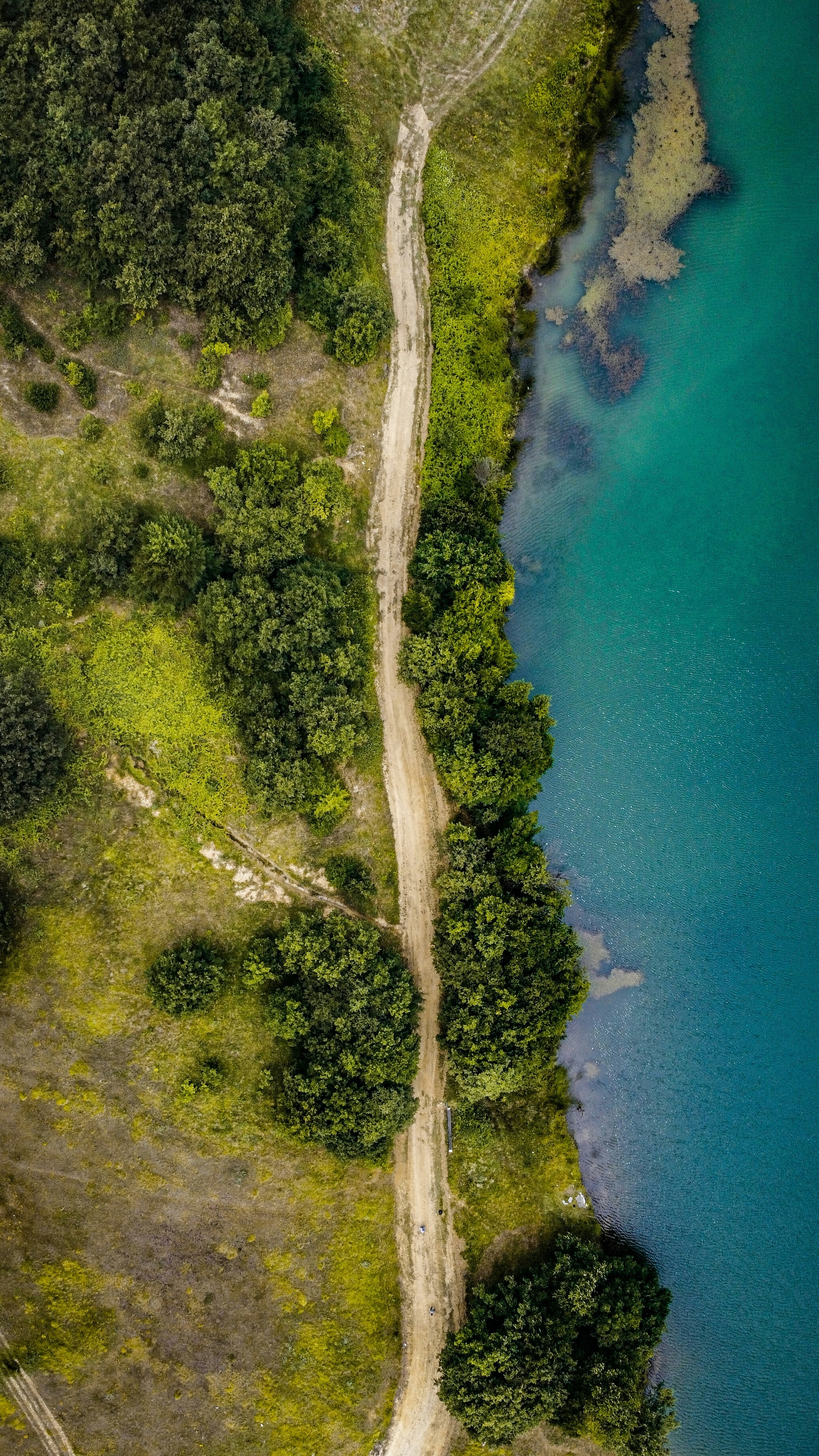 Wallpapers
