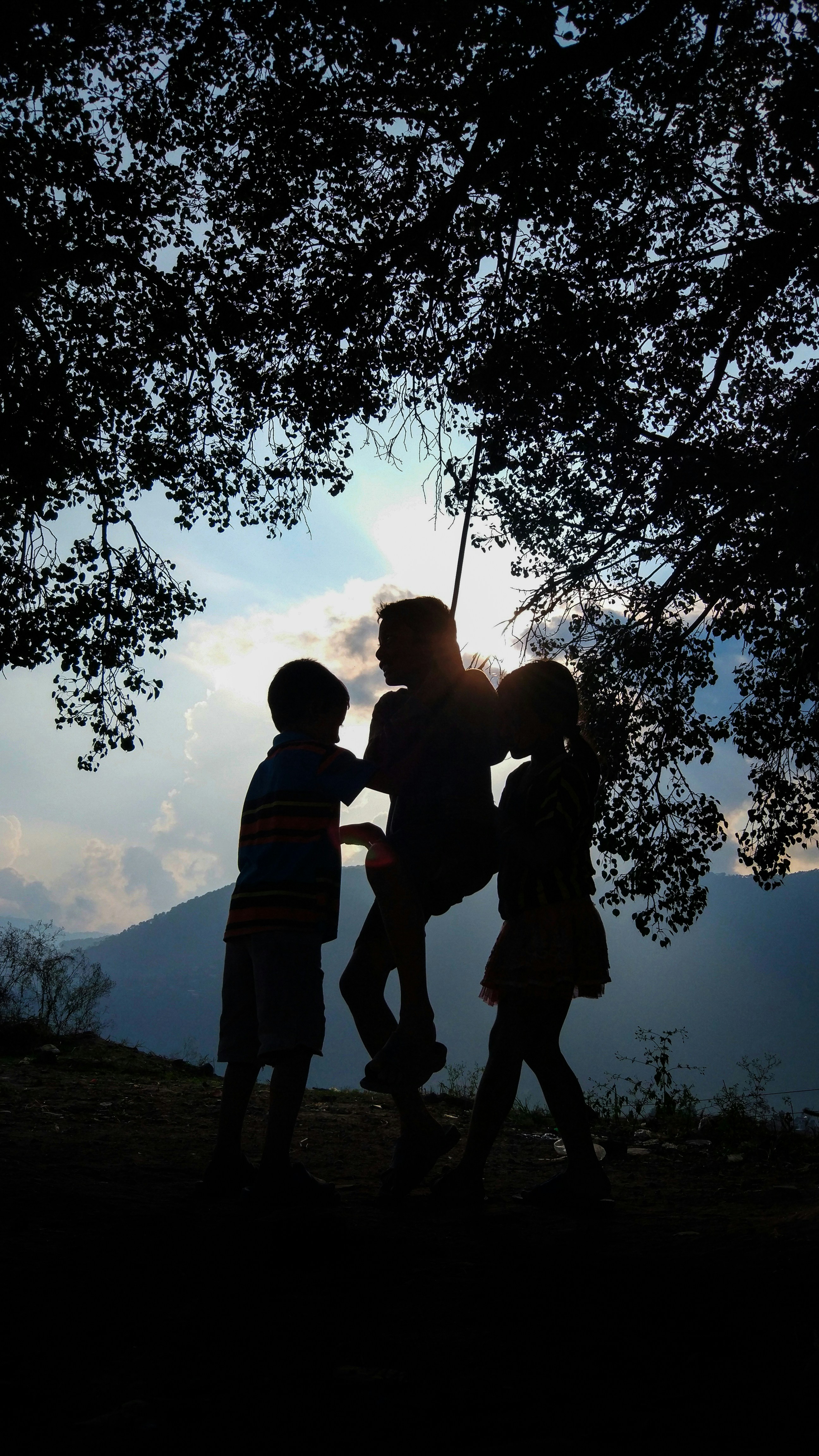 Three Children Playing on Tree Swing