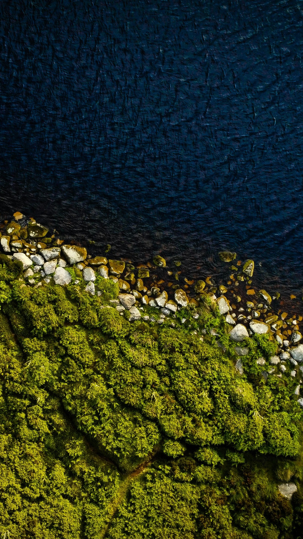 Wallpapers