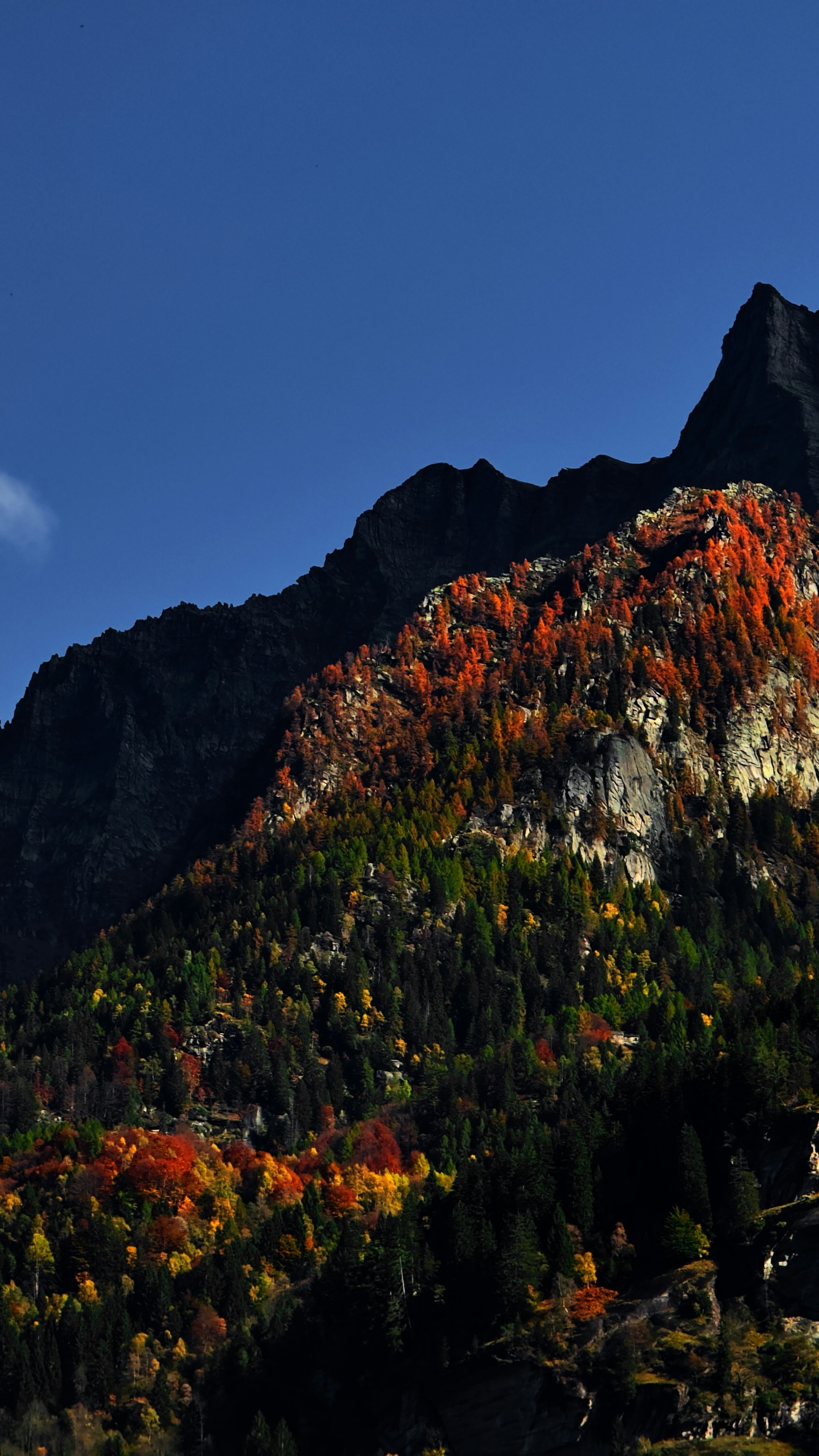Autumn Mountain Forest Under Clear Sky