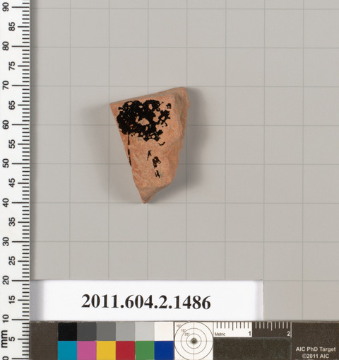 Archaeological Pottery Shard Specimen