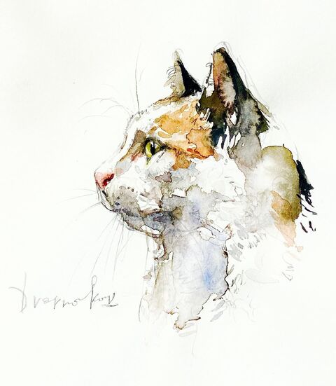 Watercolor Cat Head Portrait