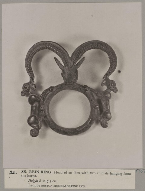 Ancient Ibex Head Rein Ring