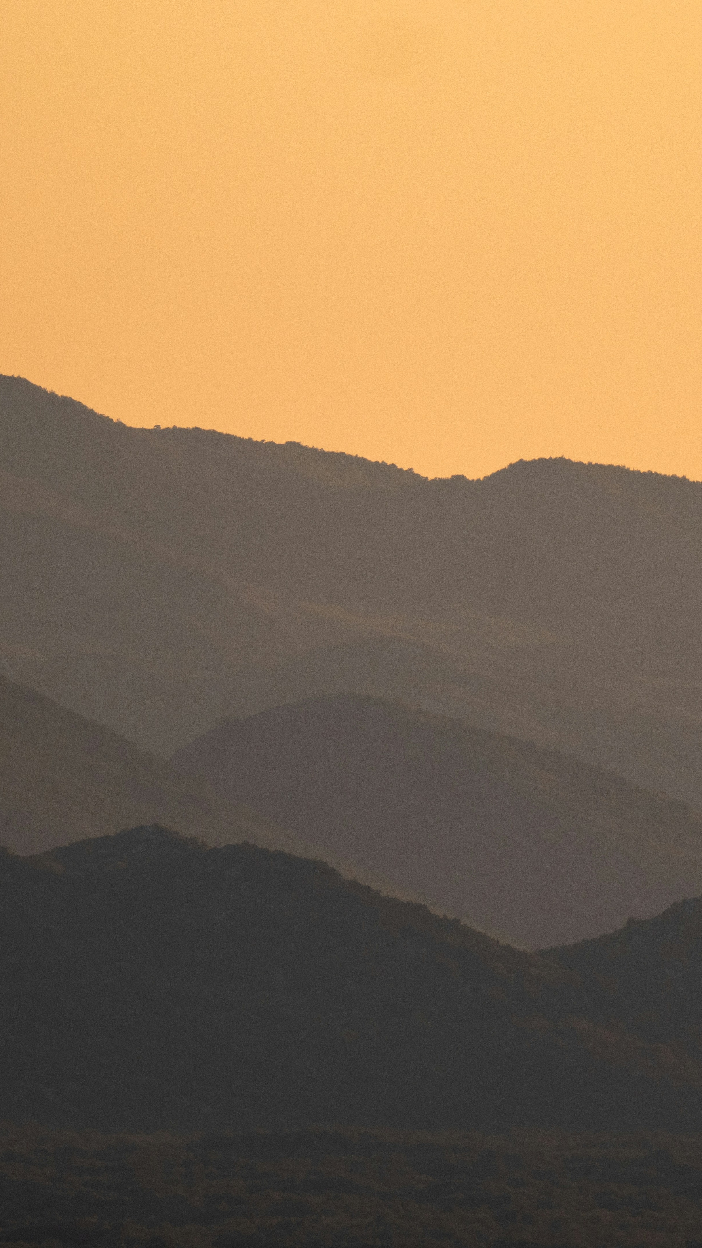 Landscapes