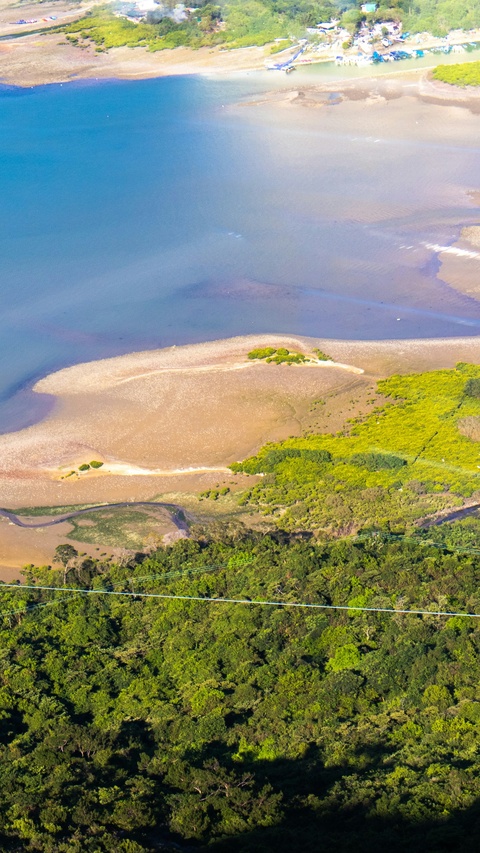 Aerial View of Coastal Estuary Landscape