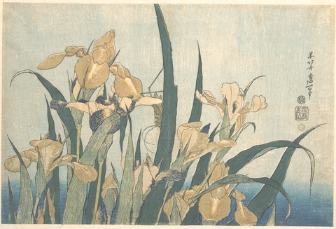 Japanese Woodblock Print of Irises and Grasshopper