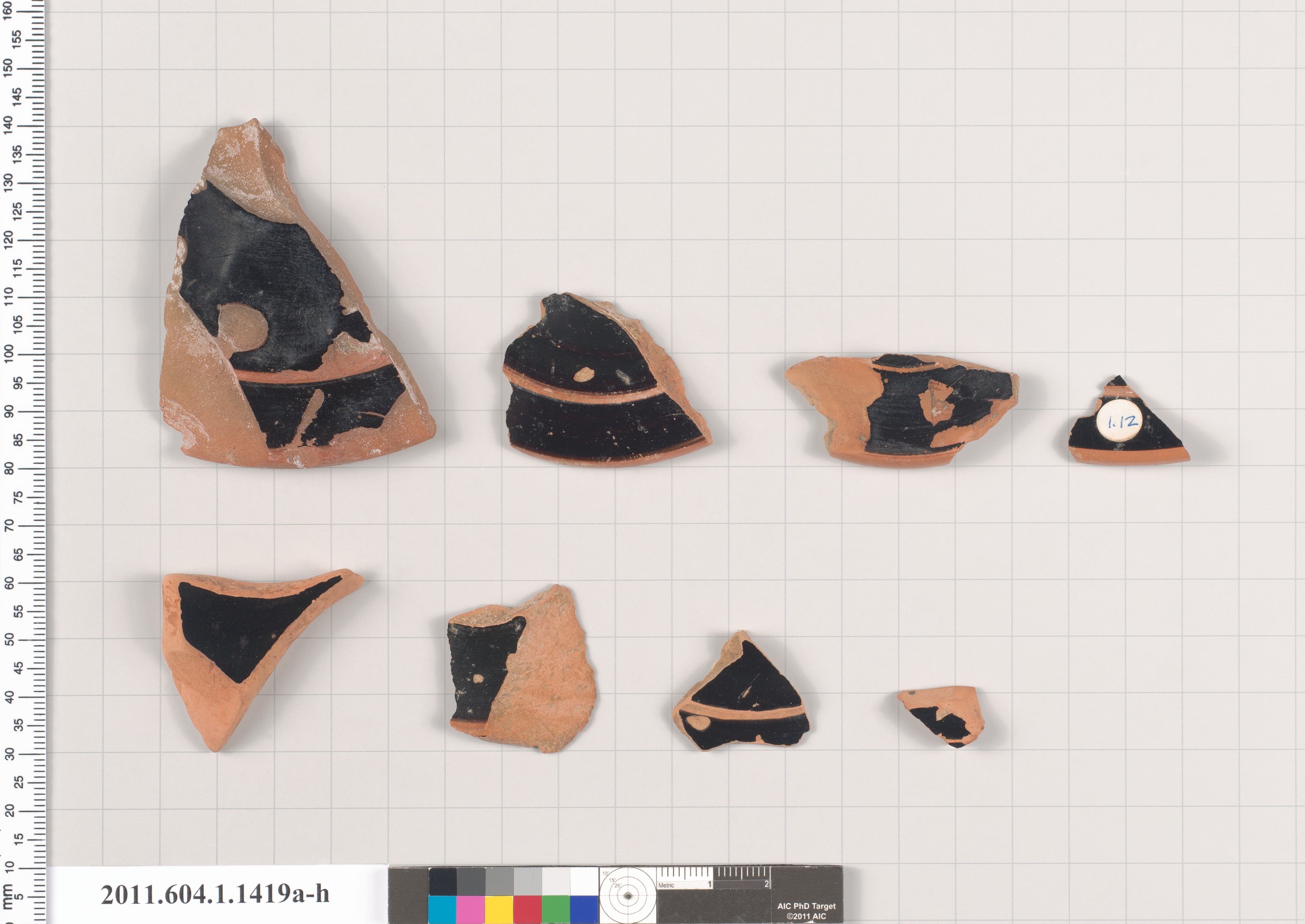 Ancient Pottery Shards