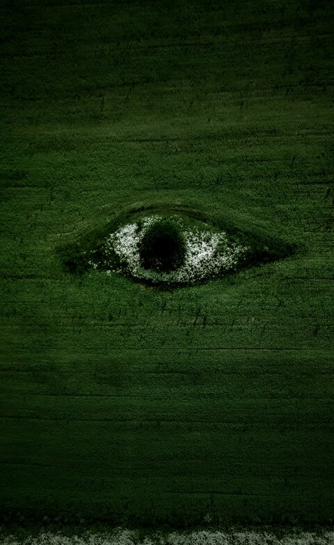Eye Shaped Field Art