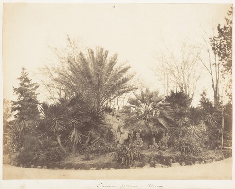 Pincian Garden in Rome