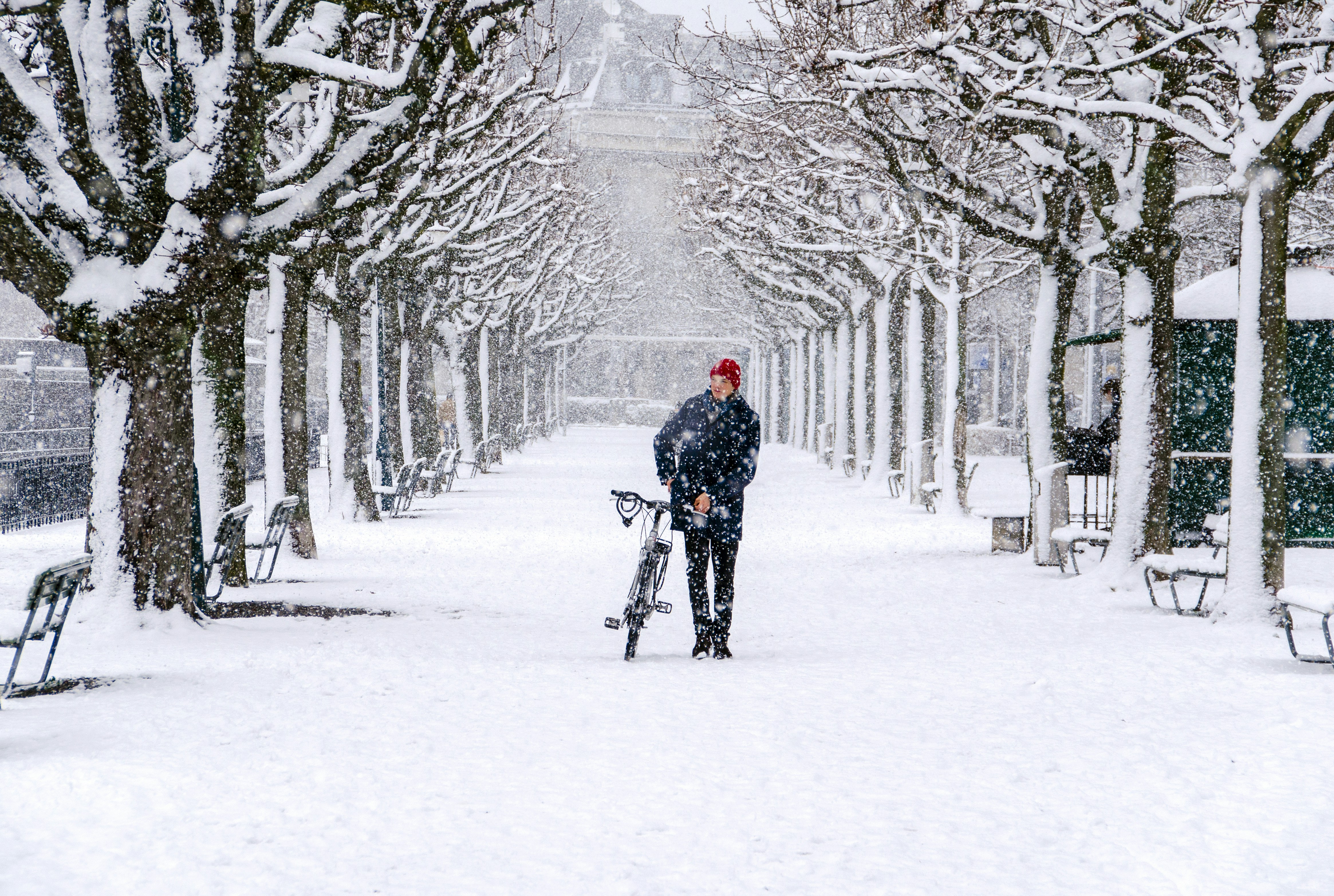 Man walking with bicycle in snowy park