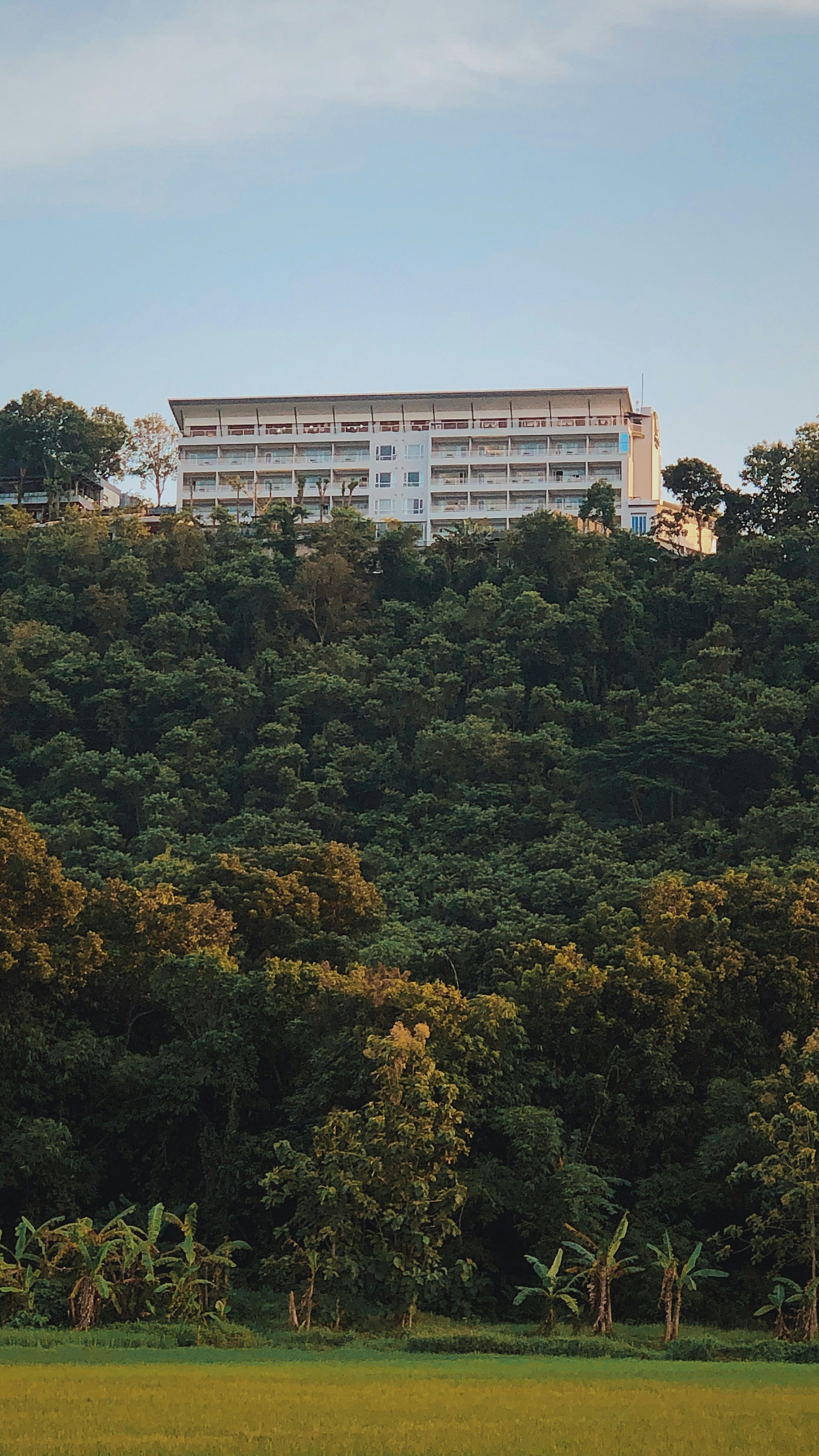 Hilltop Hotel Above Dense Forest