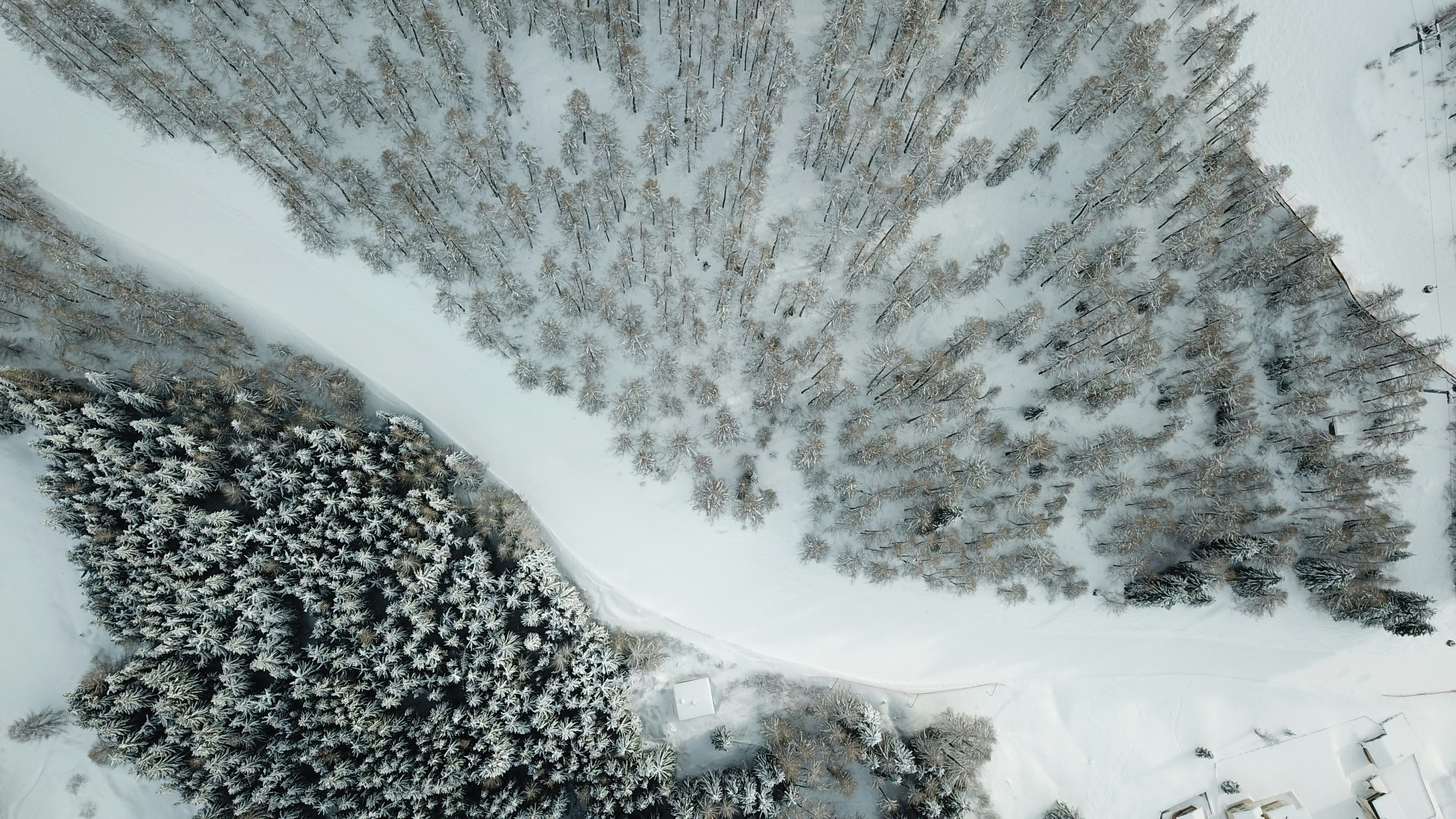 Aerial View of Snowy Mountain Forest