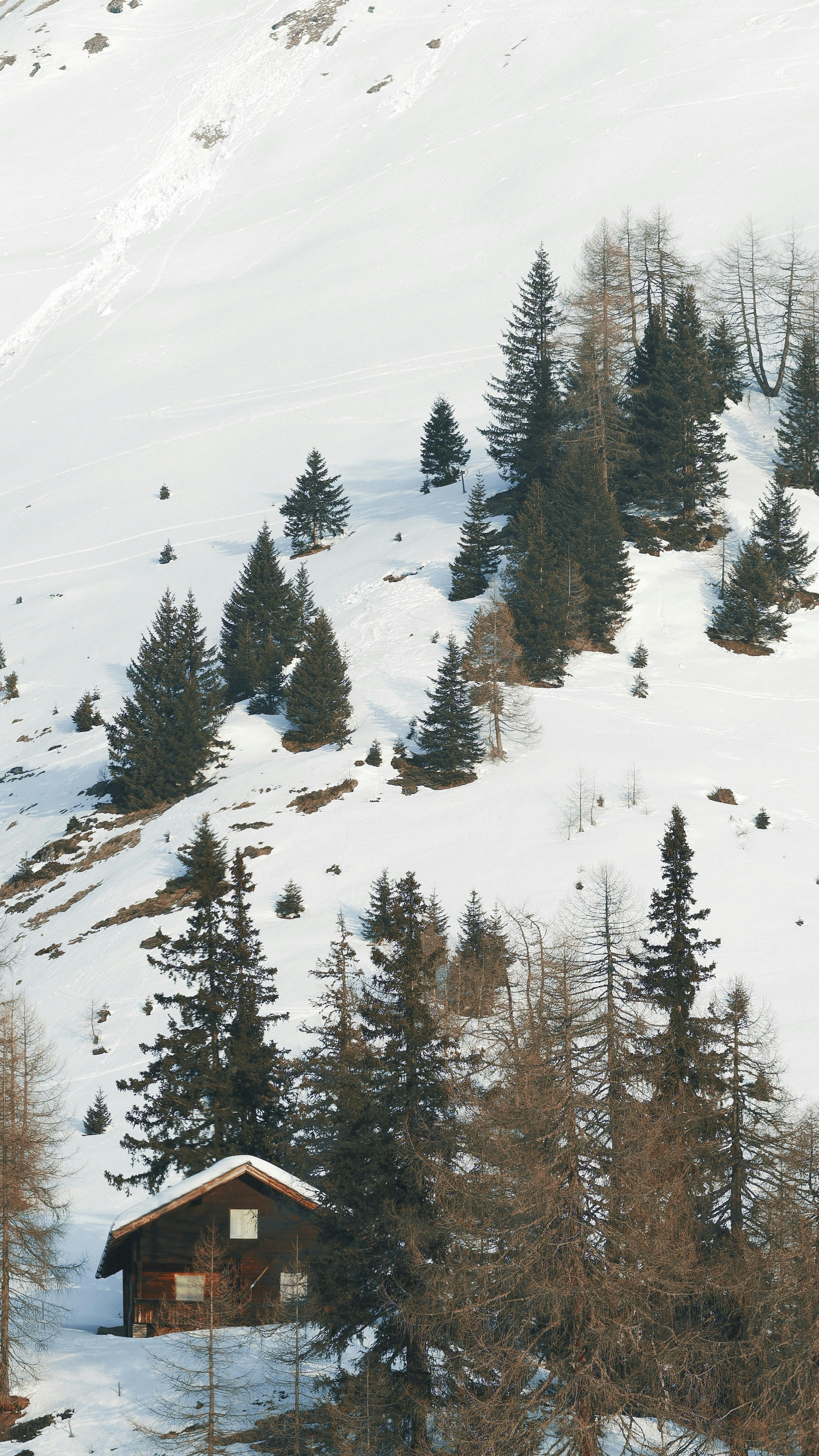 Snowy Mountain Wooden Cabin