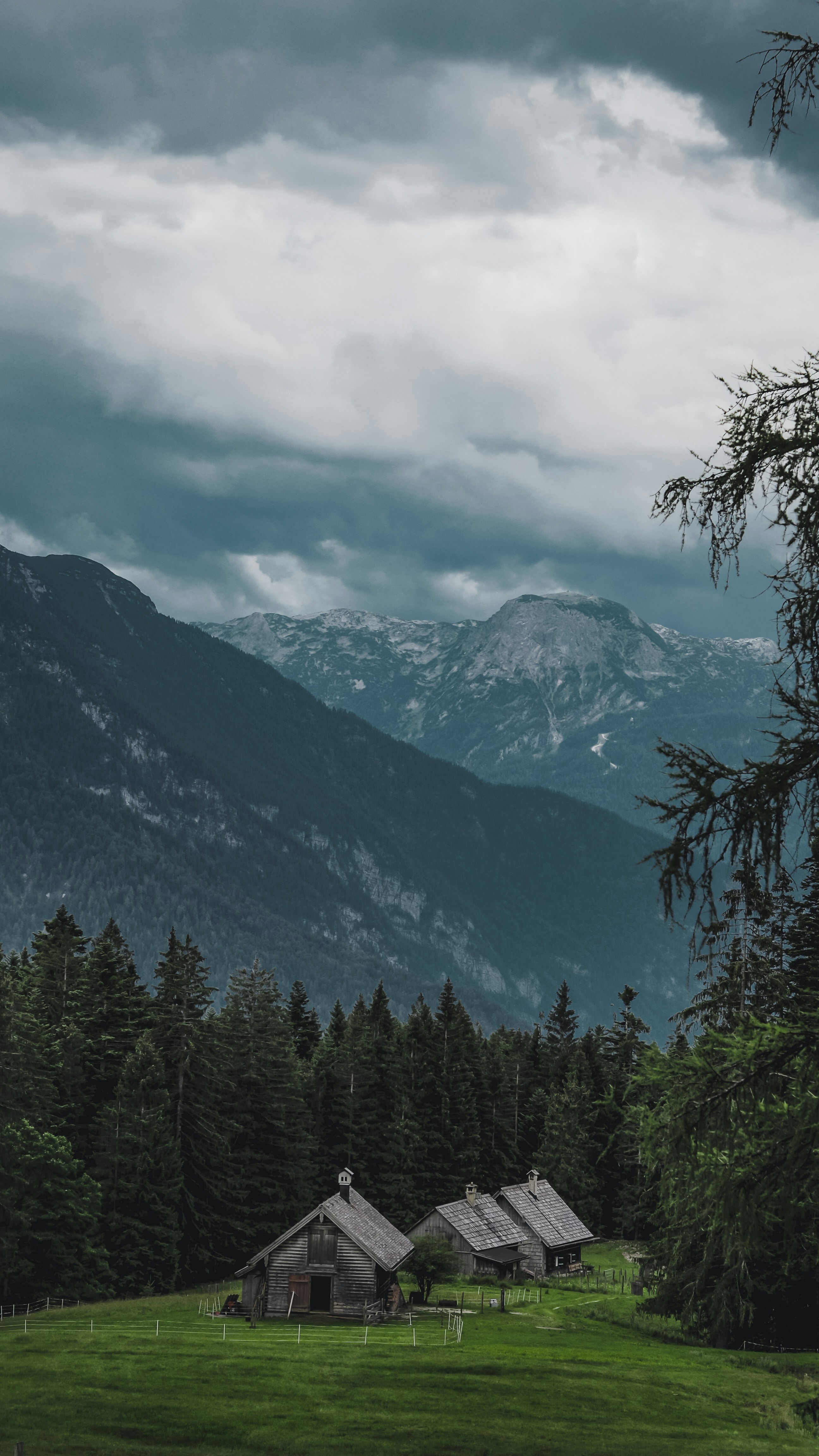 Wooden Cabins in Mountain Meadow