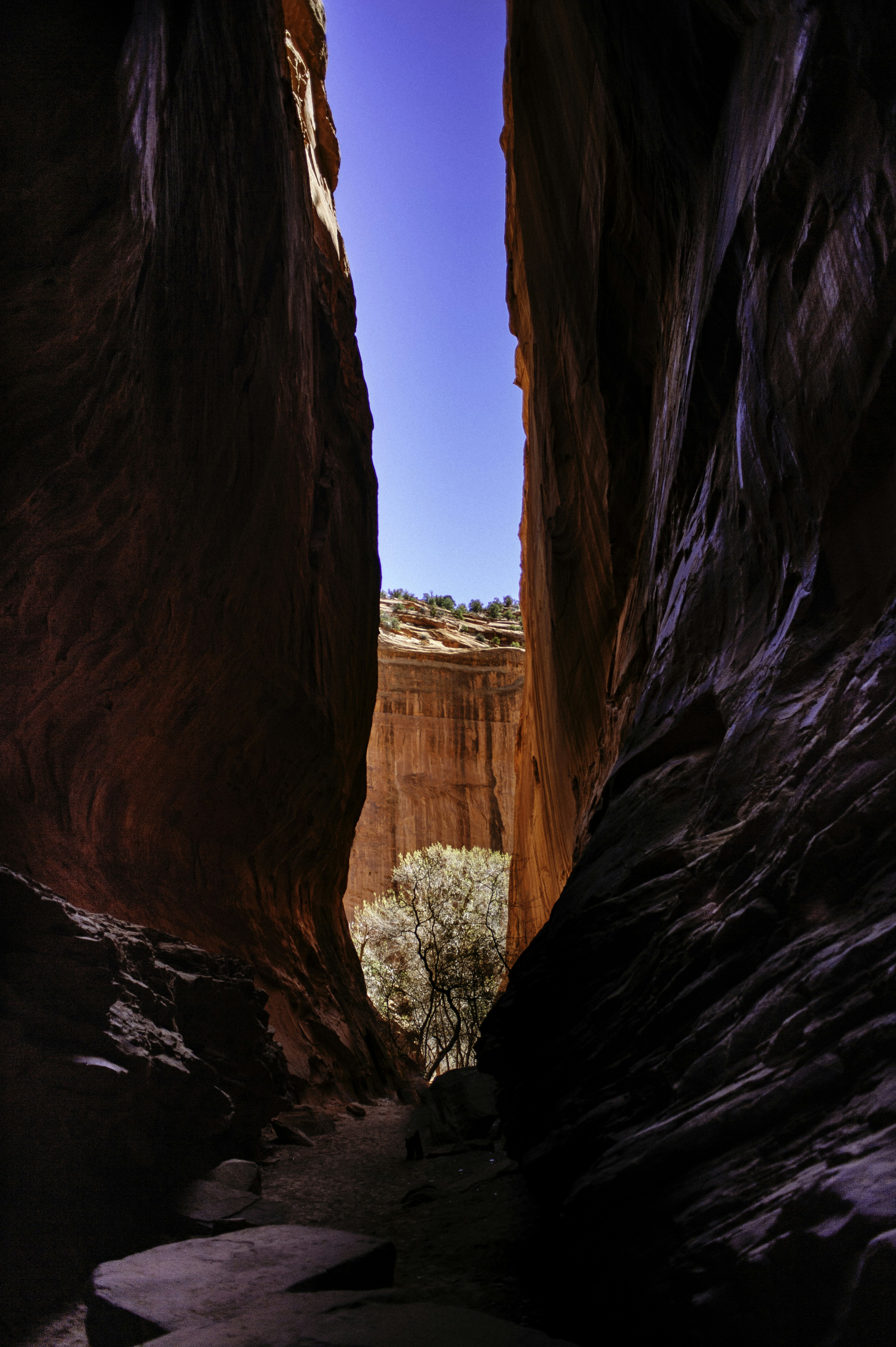 Narrow Red Rock Canyon
