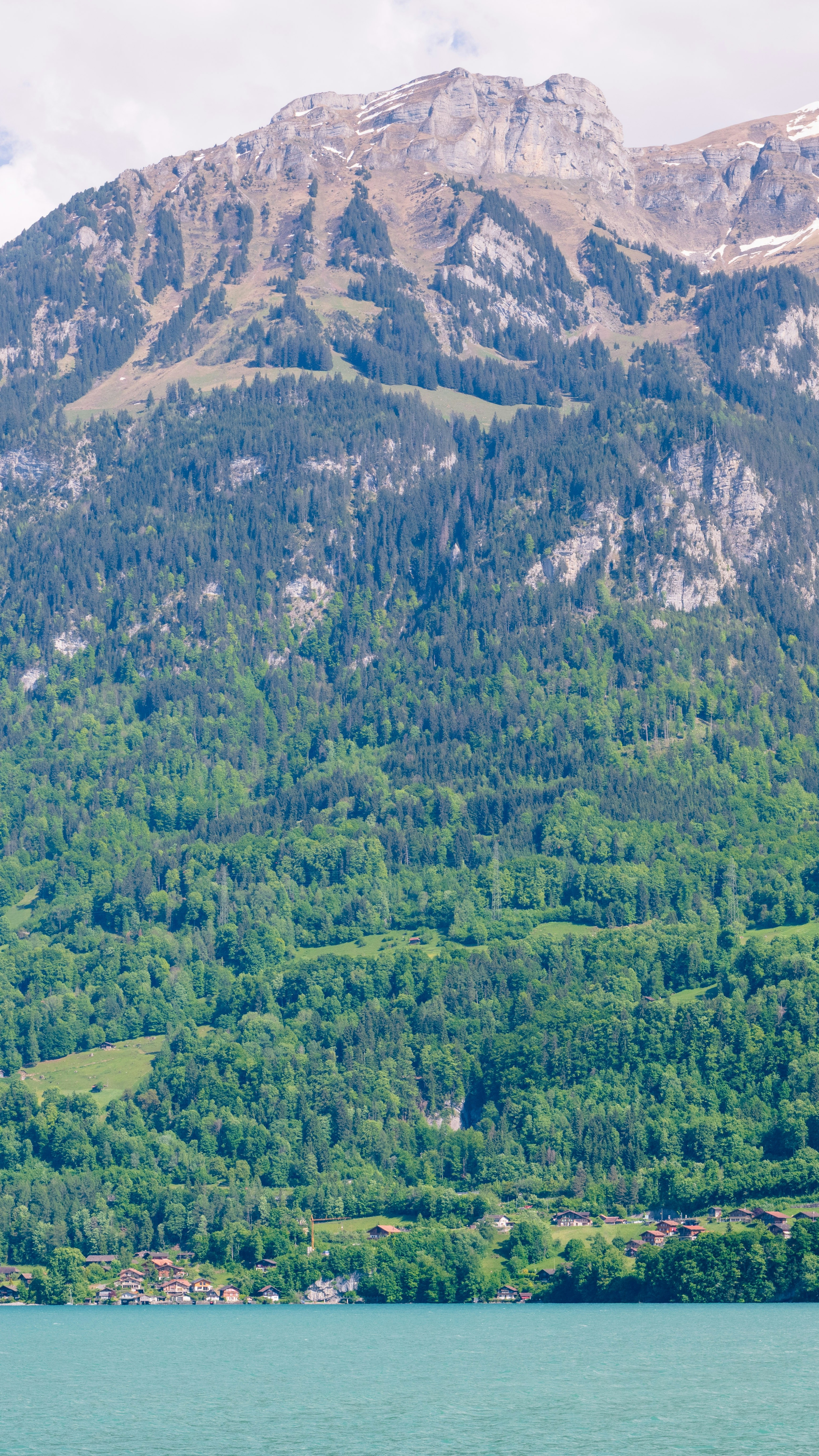 Landscapes