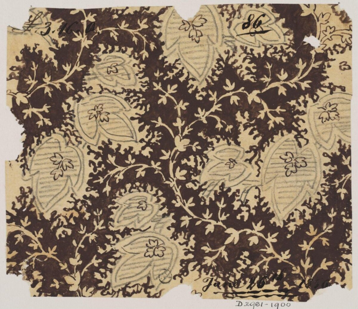 Vintage Leaf Textile Pattern Sketch