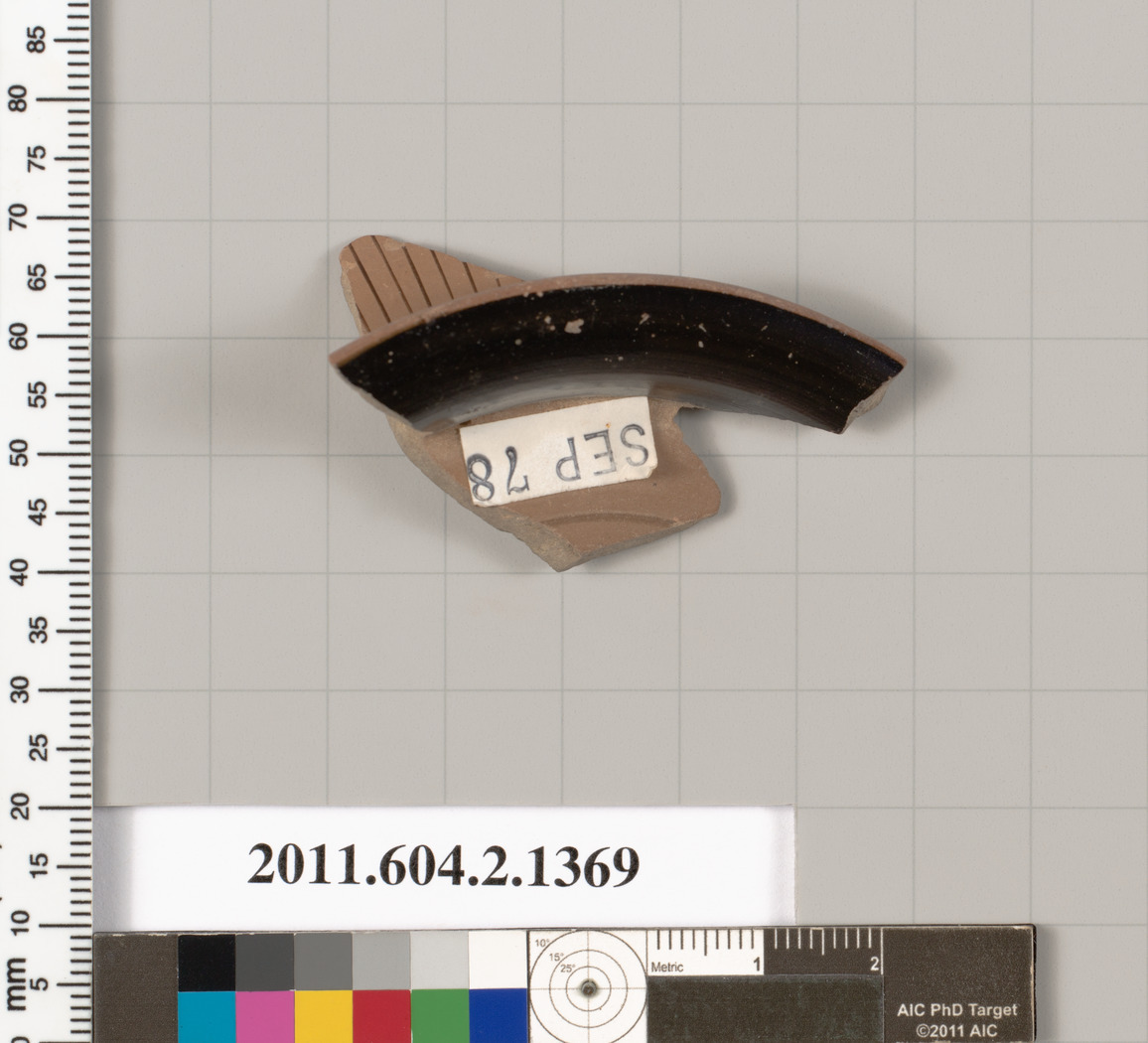 Ancient Pottery Rim Fragment