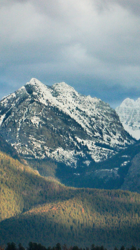 Snow Capped Mountain Forest Landscape
