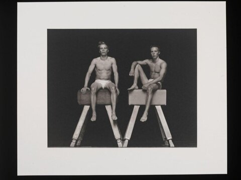 Two Twin Gymnasts on Pommel Horses