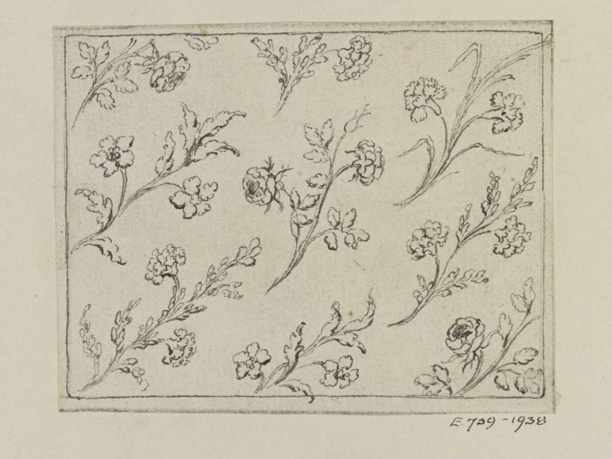 Ink Sketch of Flower Branches