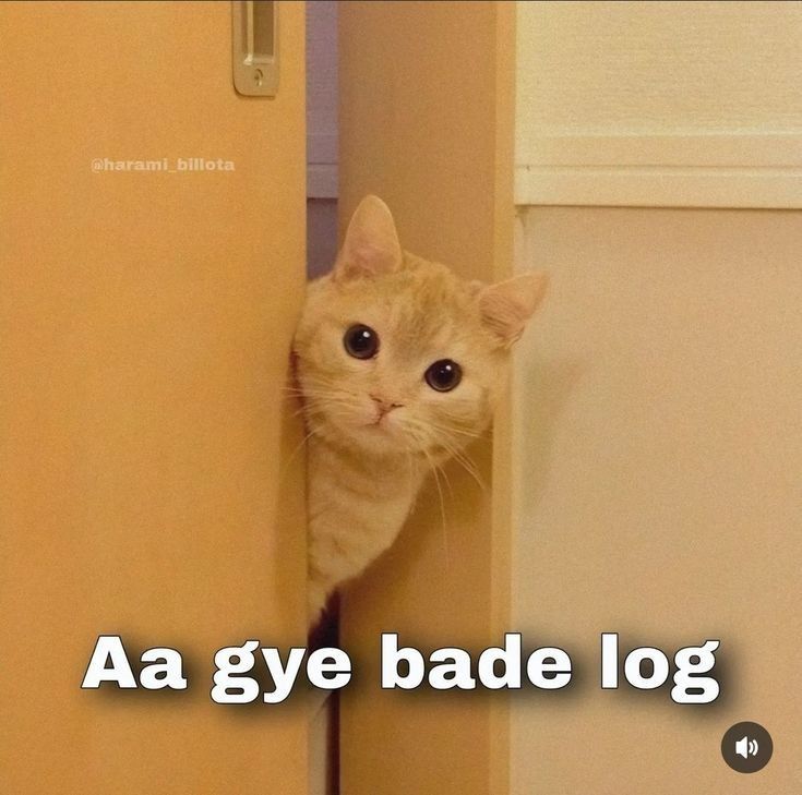 Peeking Ginger Cat Meme