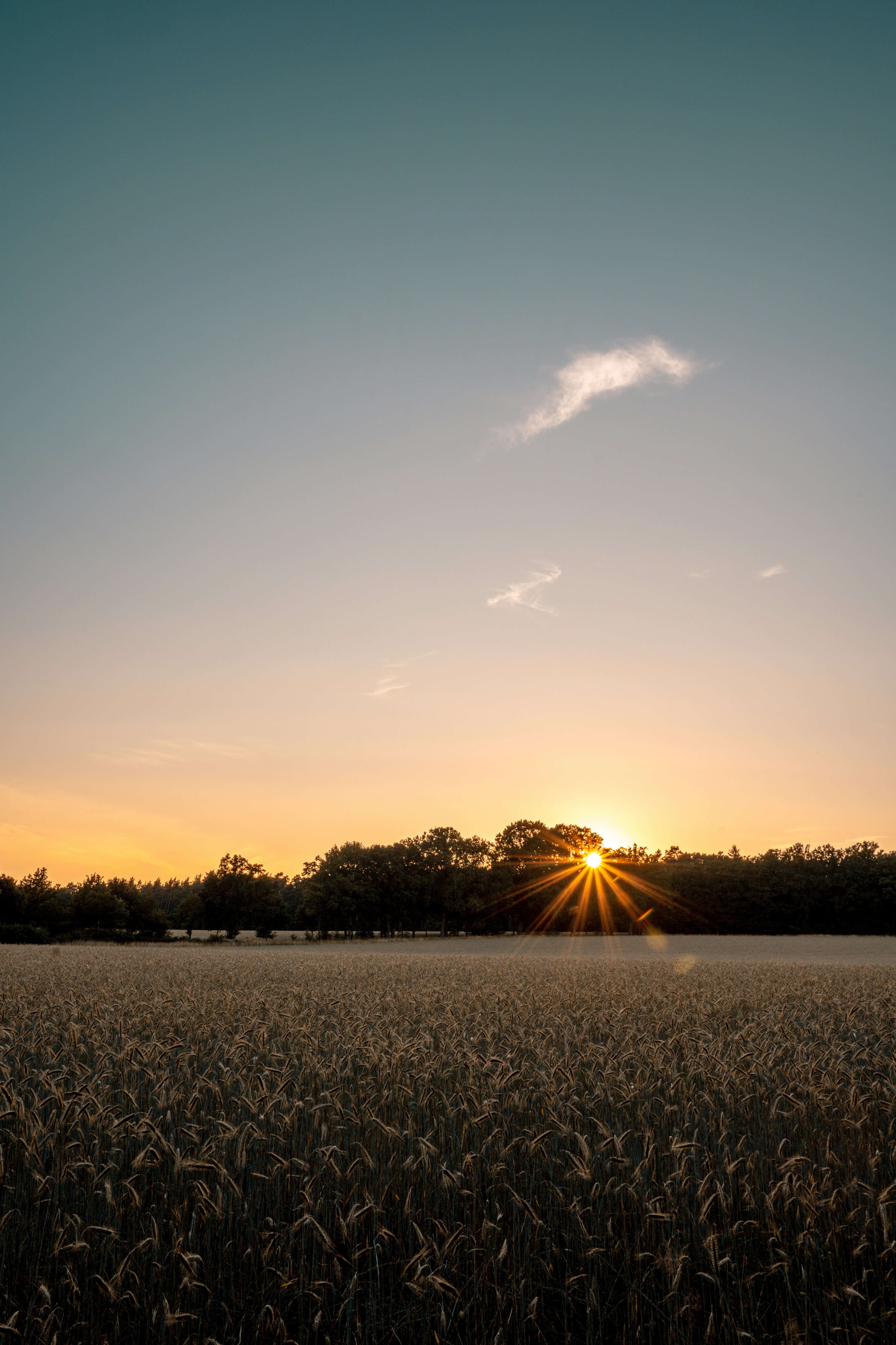 Sunset Over Wheat Field