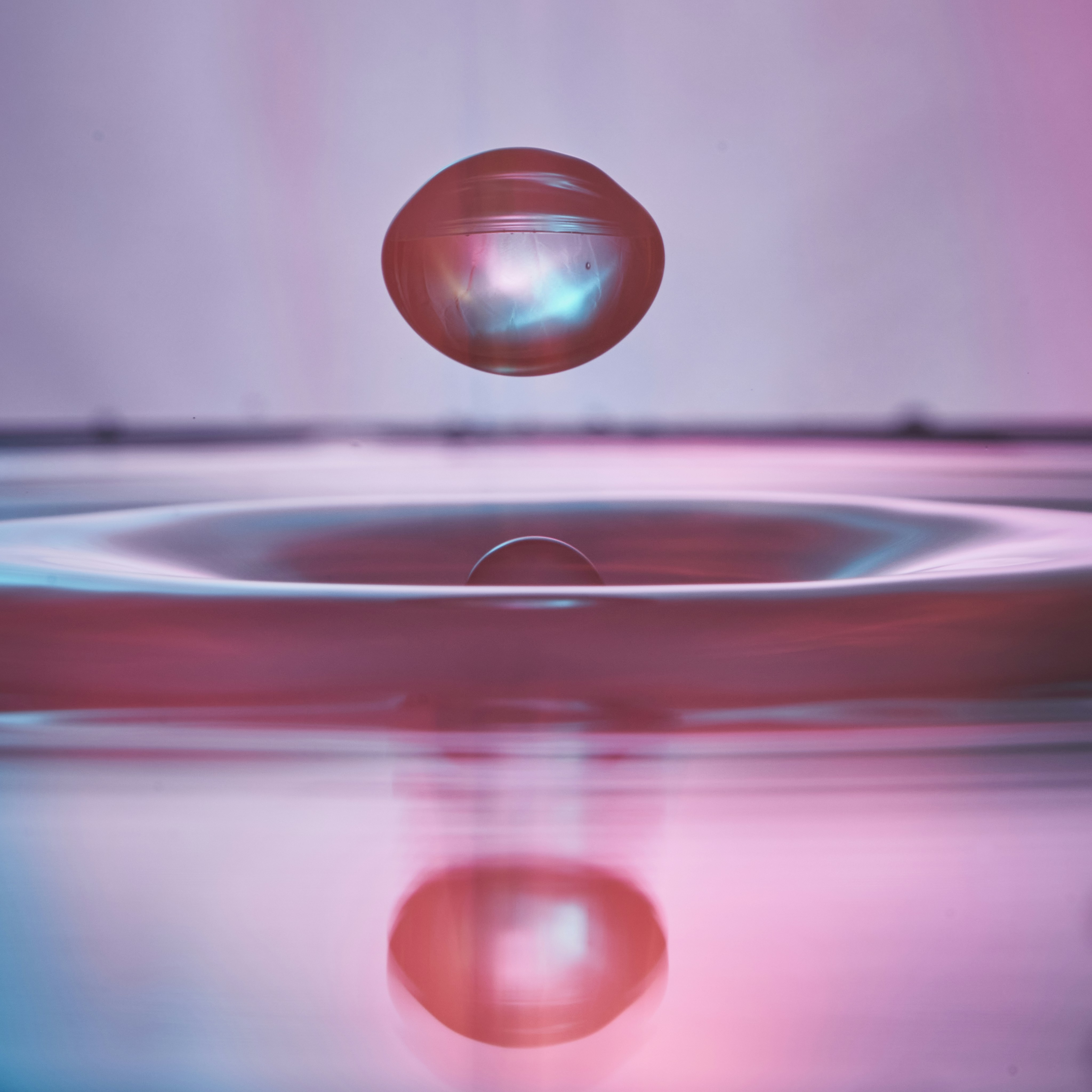 Hovering Water Drop on Liquid Surface