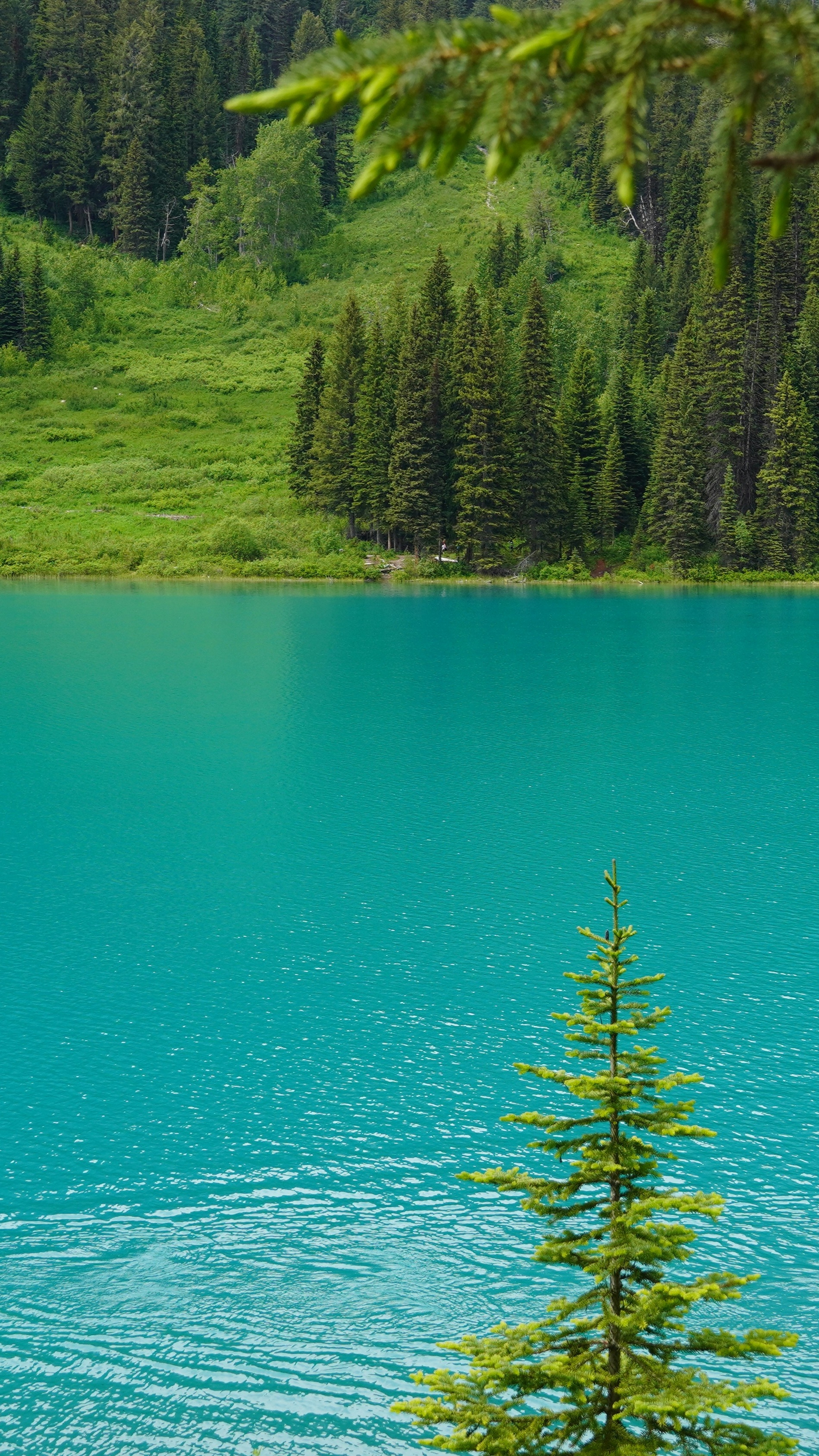 Wallpapers