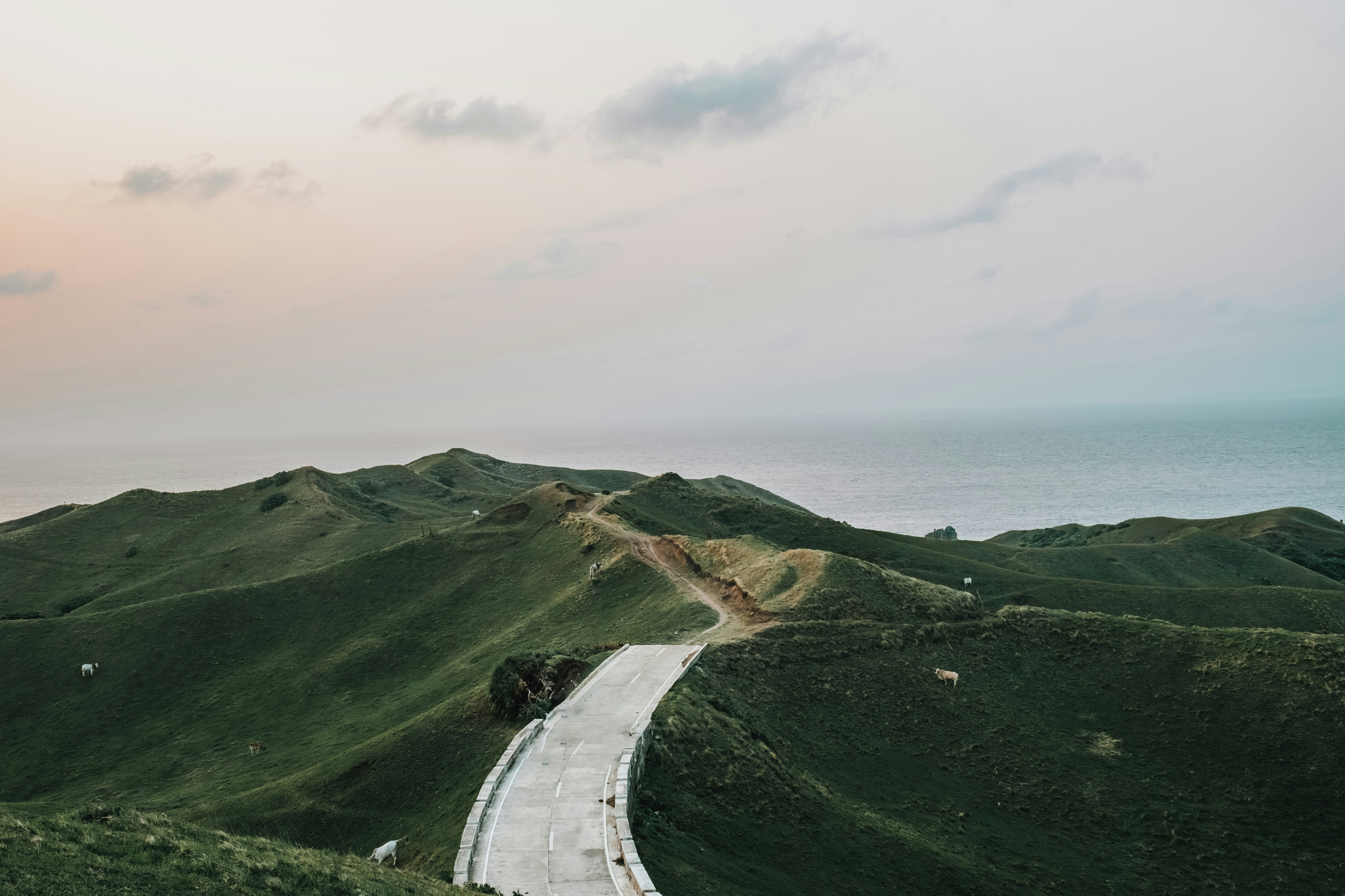 Coastal Hill Grassland Road