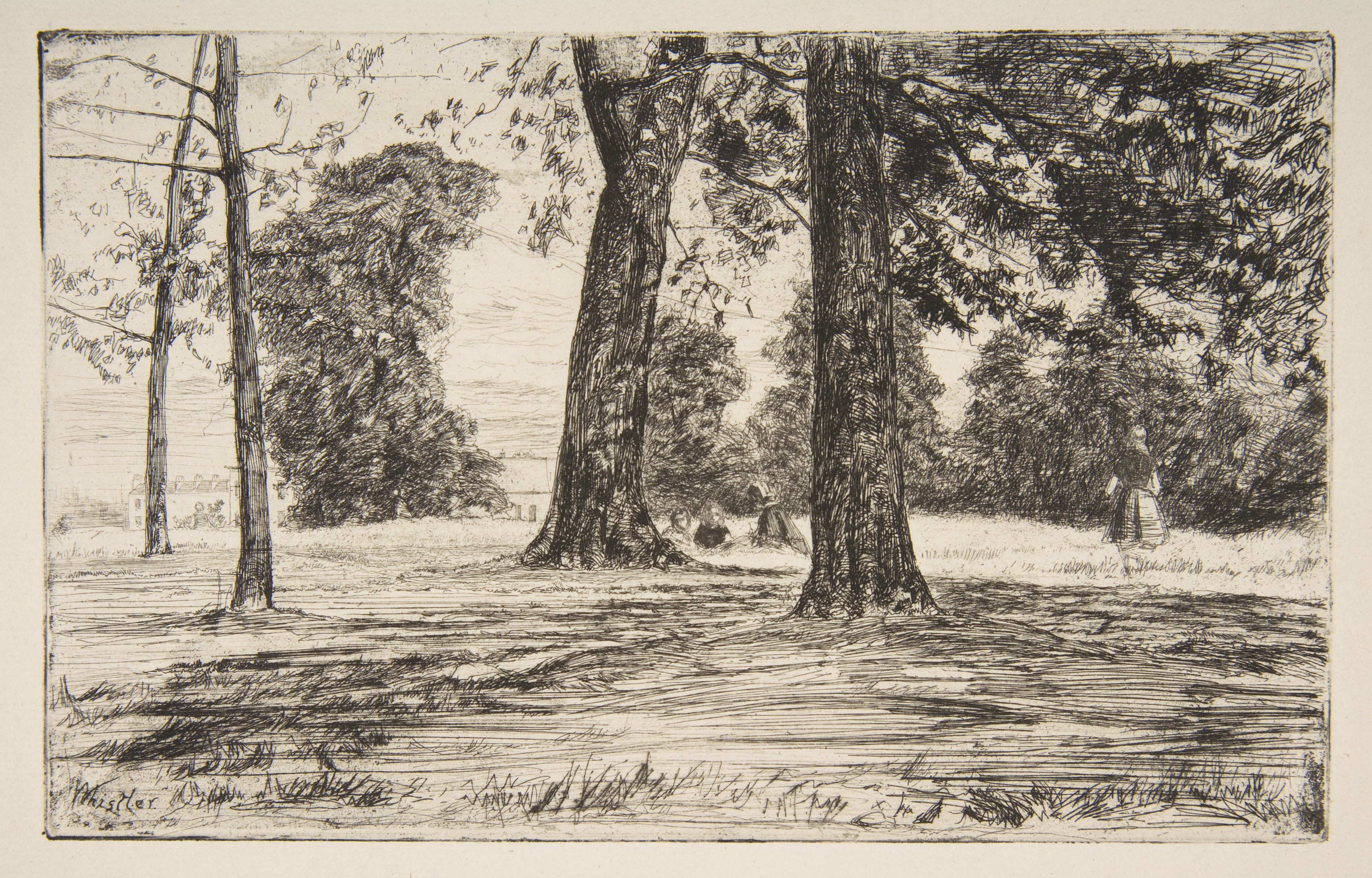 Park Tree Landscape Etching