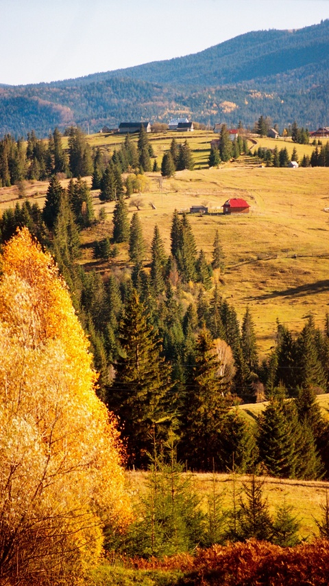 Autumn Mountain Countryside Landscape