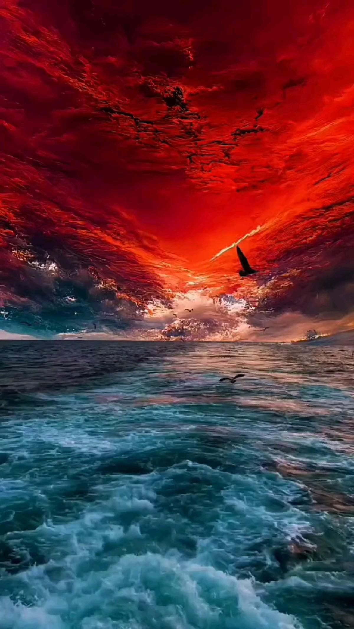 Wallpapers