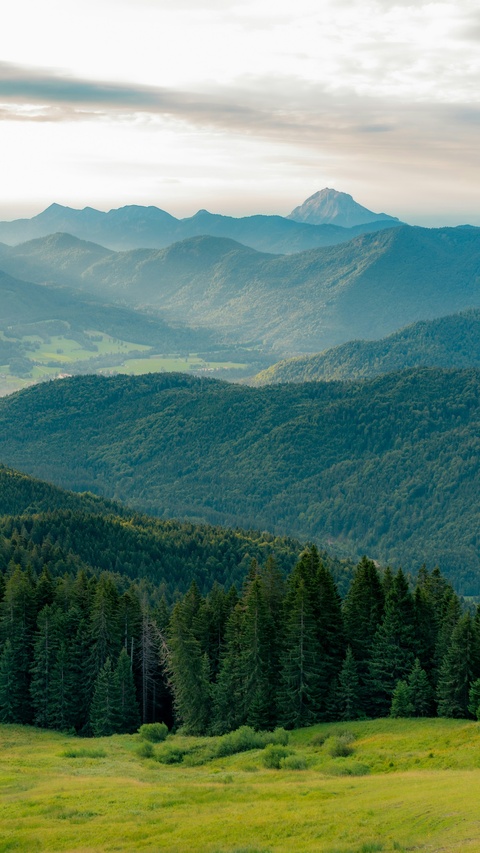 Layered Mountain Forest Landscape