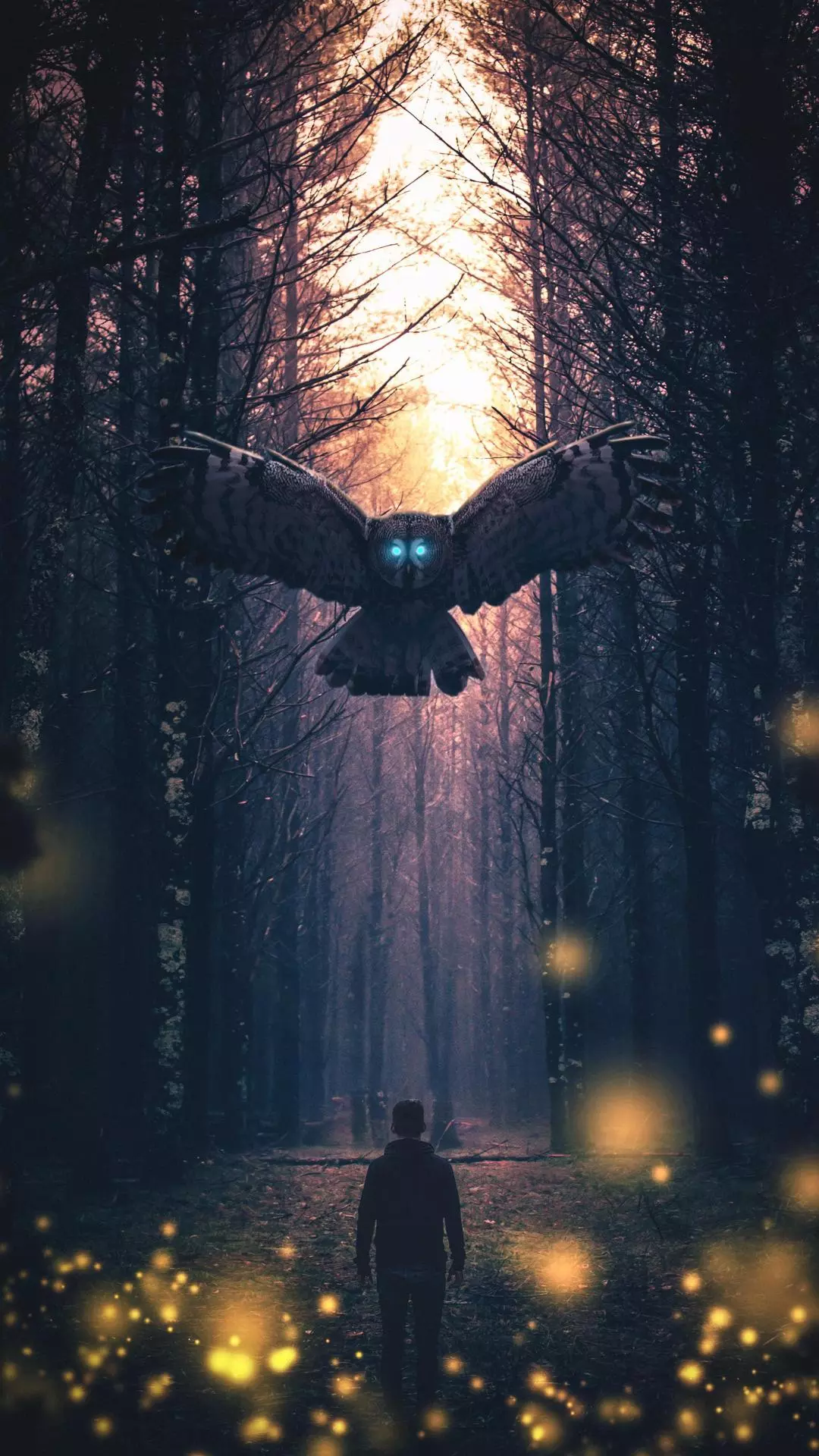 Wallpapers