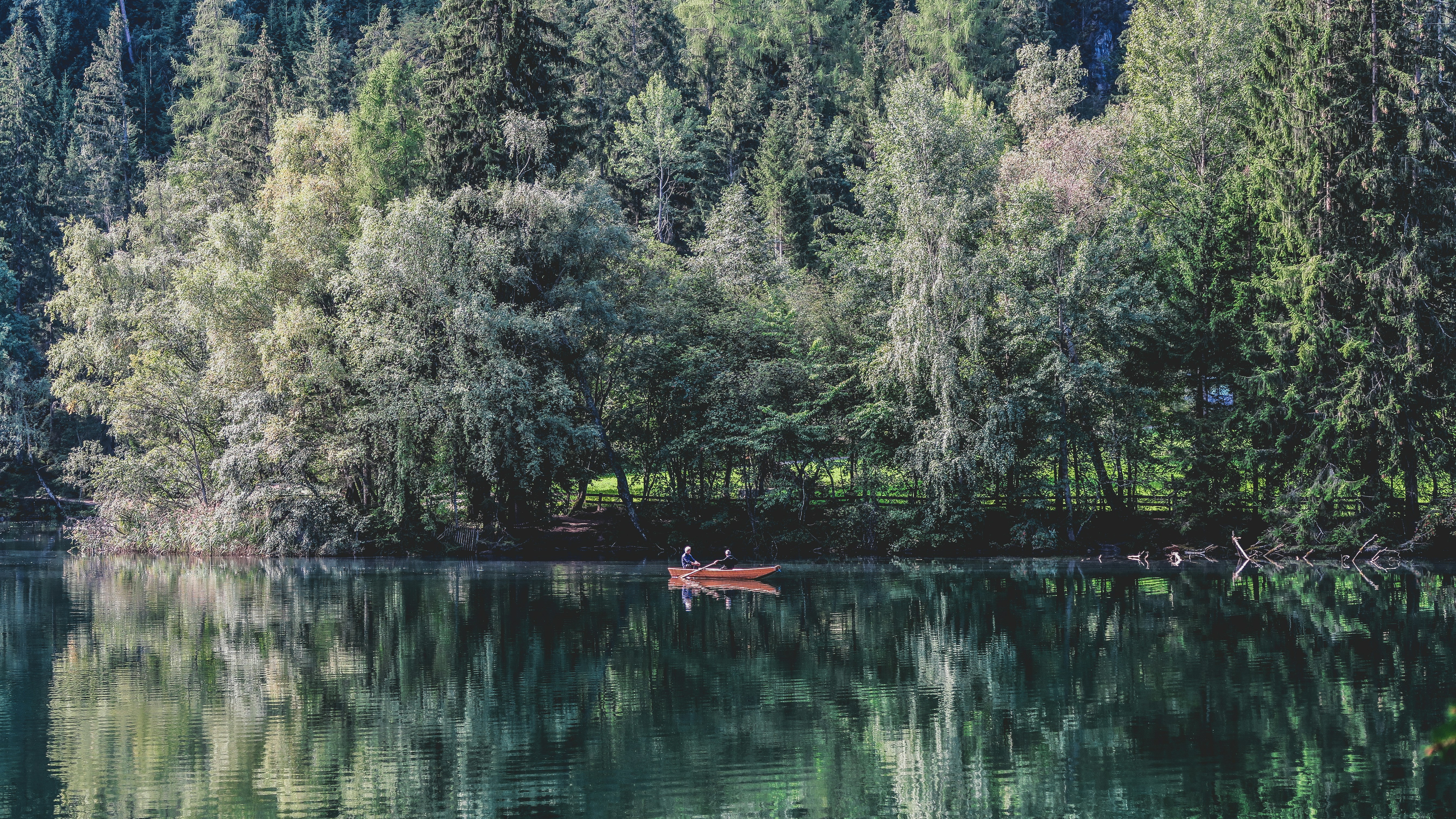 Two People Canoeing on Forest Lake