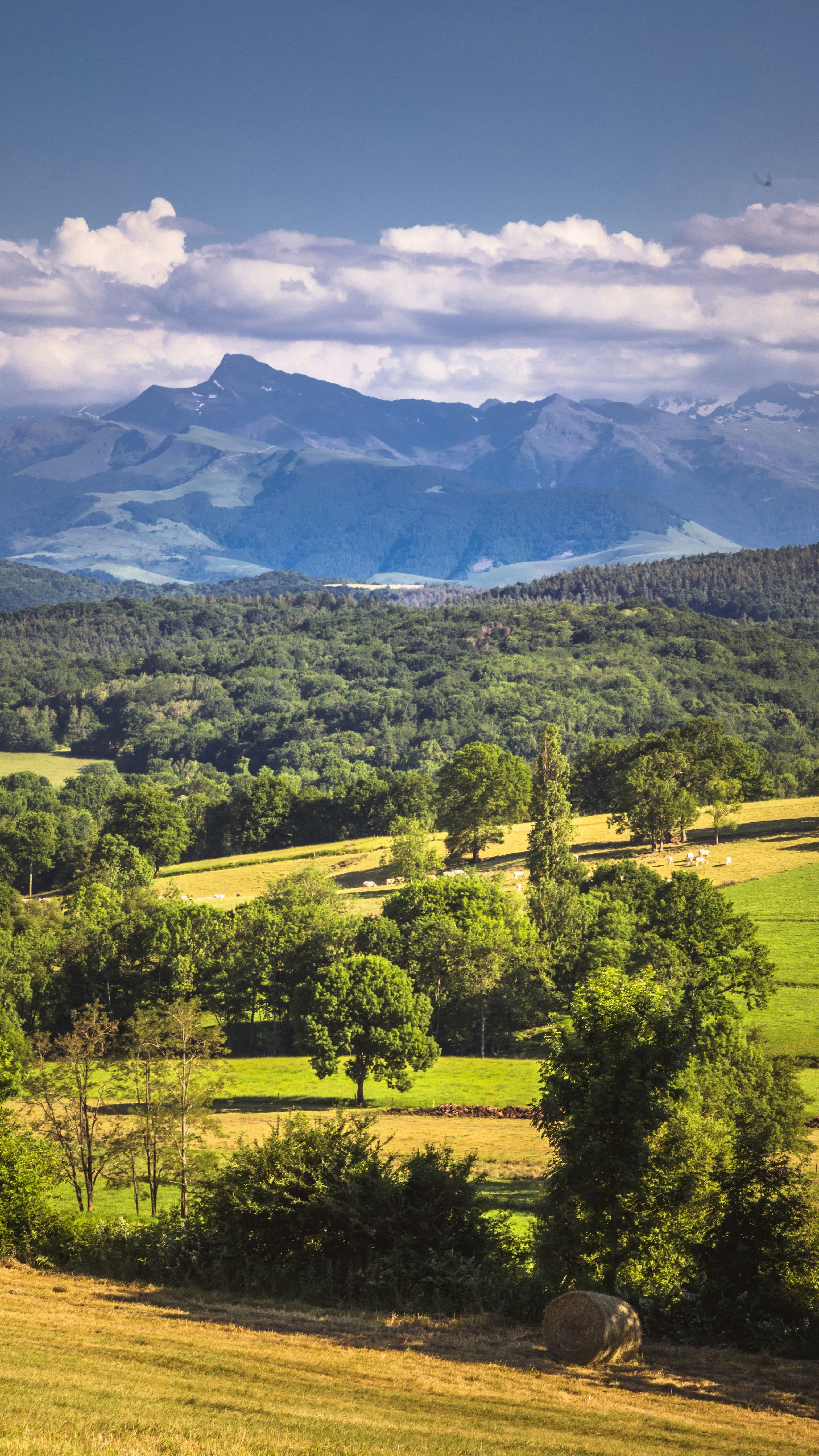 Countryside Landscape with Distant Mountains