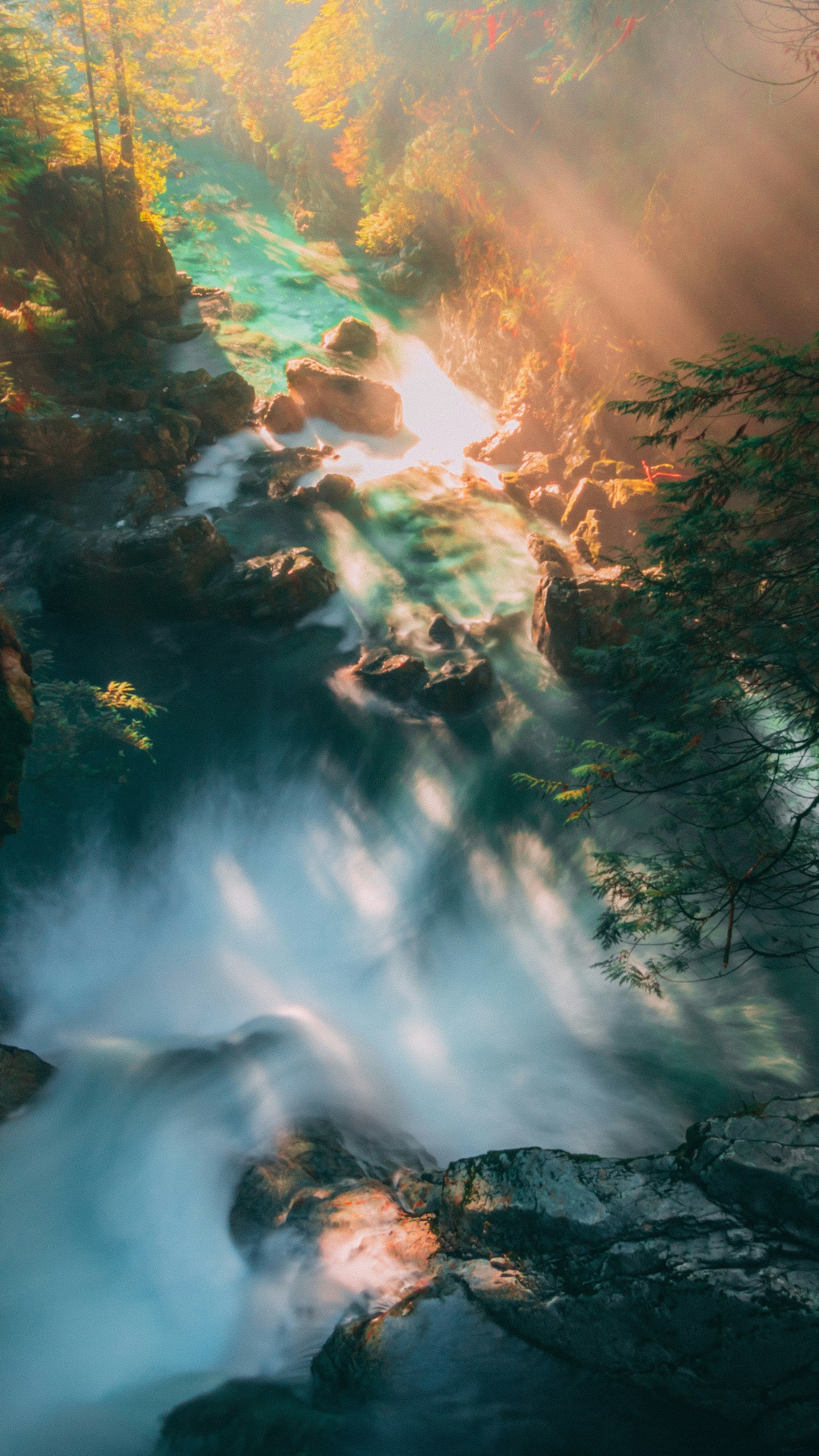 Wallpapers