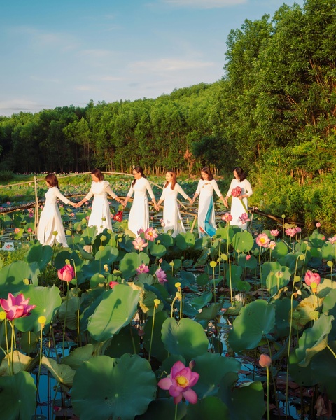 Six Women in White at Lotus Pond