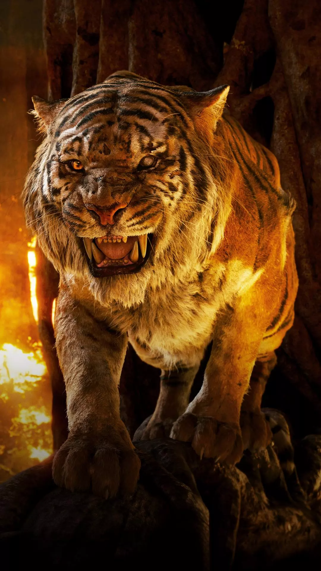 Wallpapers