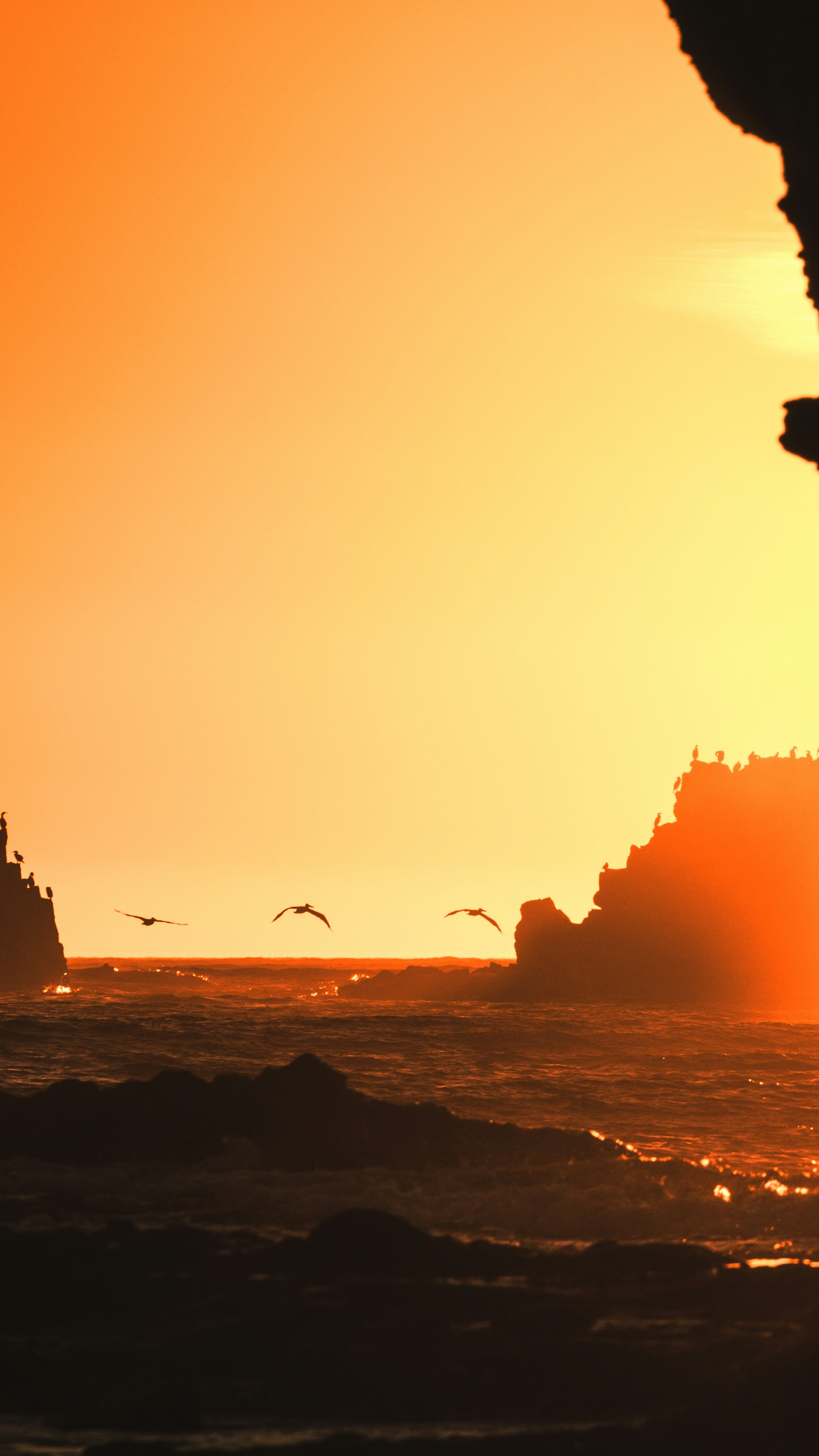 Wallpapers
