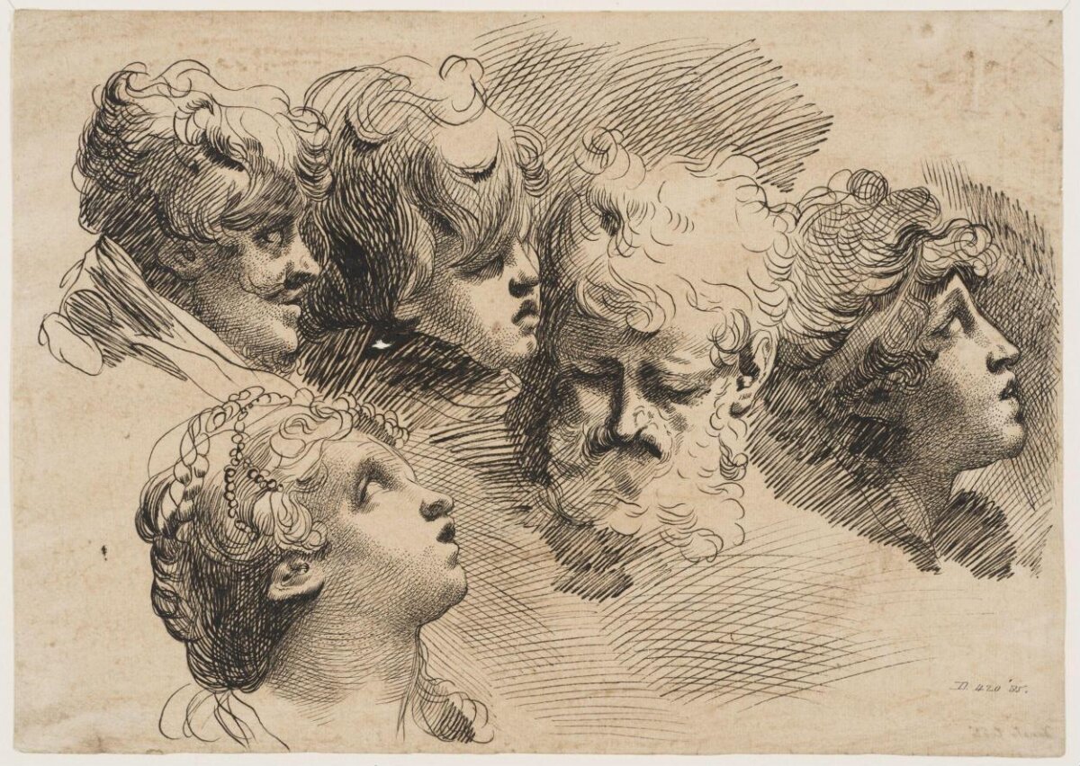 Study of Five Heads