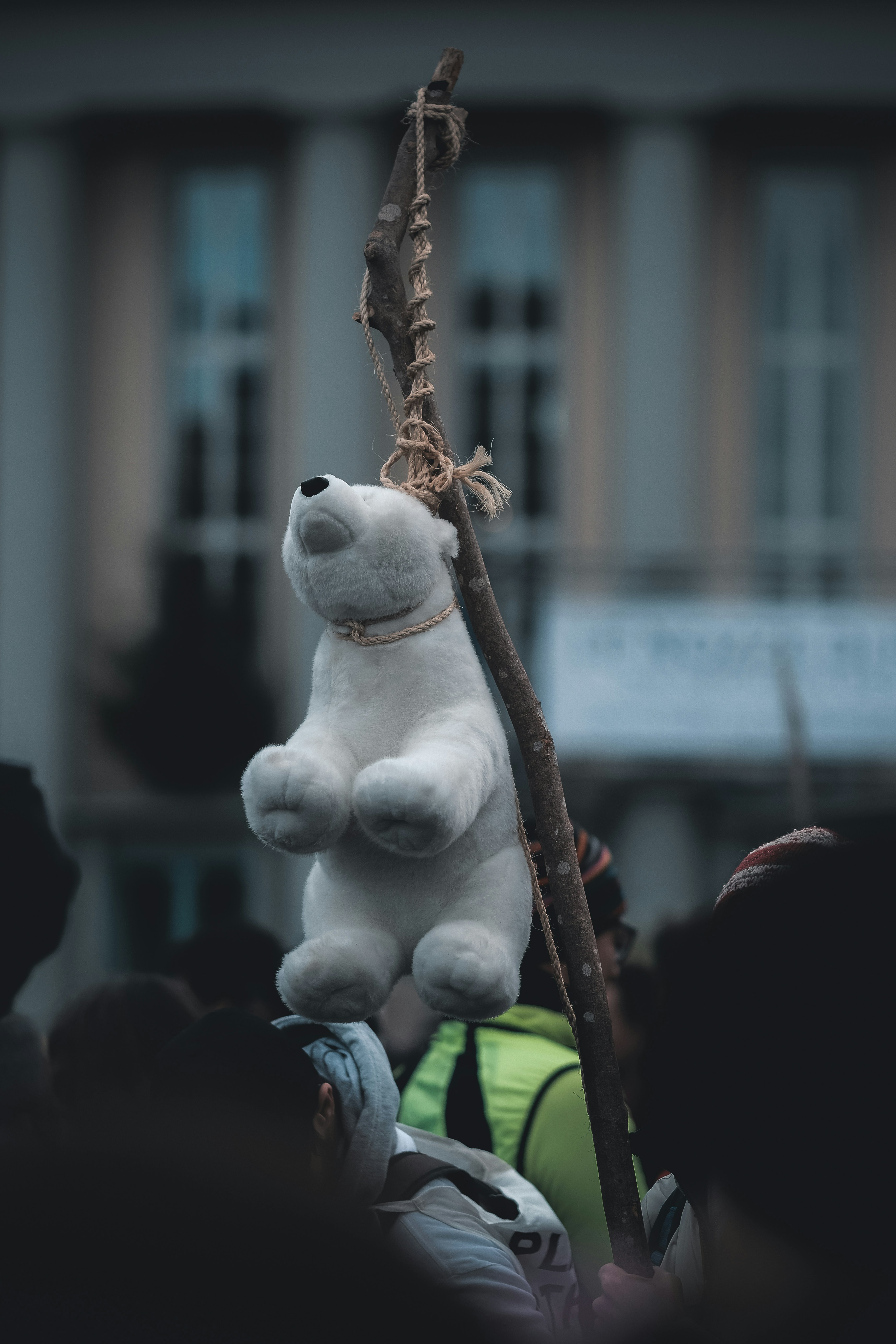 Plush Polar Bear Hanged at Protest