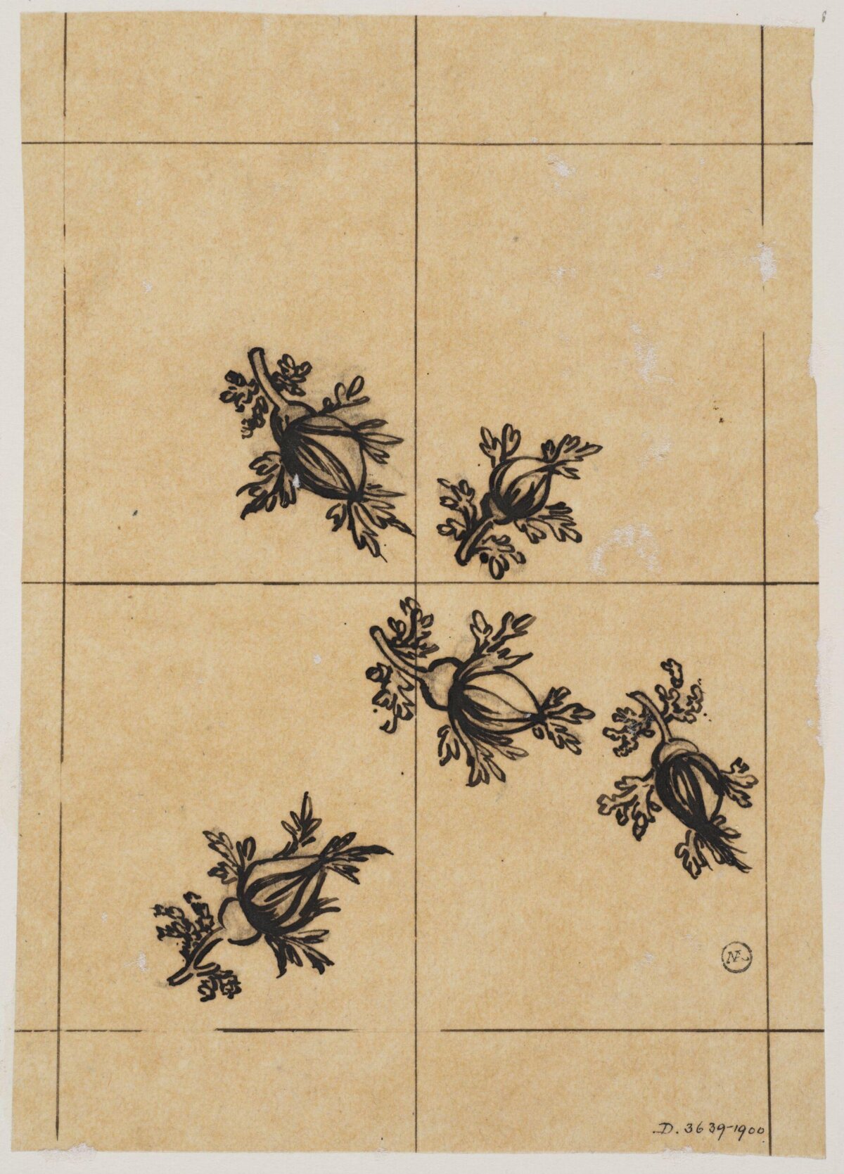 Ink Sketch of Rose Bud Pattern